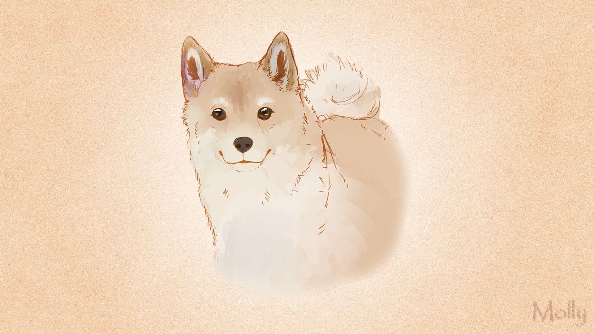 Shiba Inu, Japanisch, Hund, Hunderasse, Tier, 1920x1080 Full HD Desktop