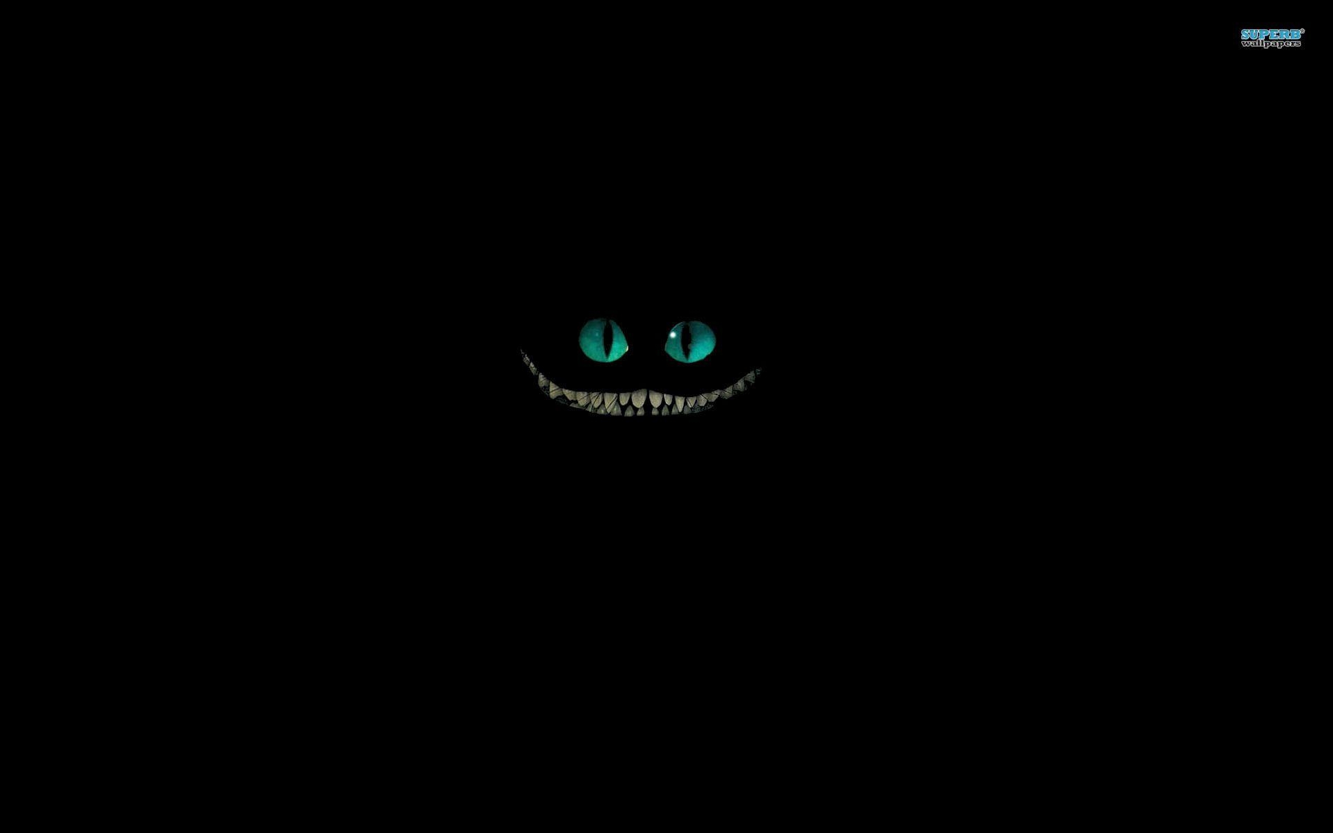 Cheshire Cat, Cartoon, Grinsekatze, Alice, Wunderland, 1920x1200 HD Desktop