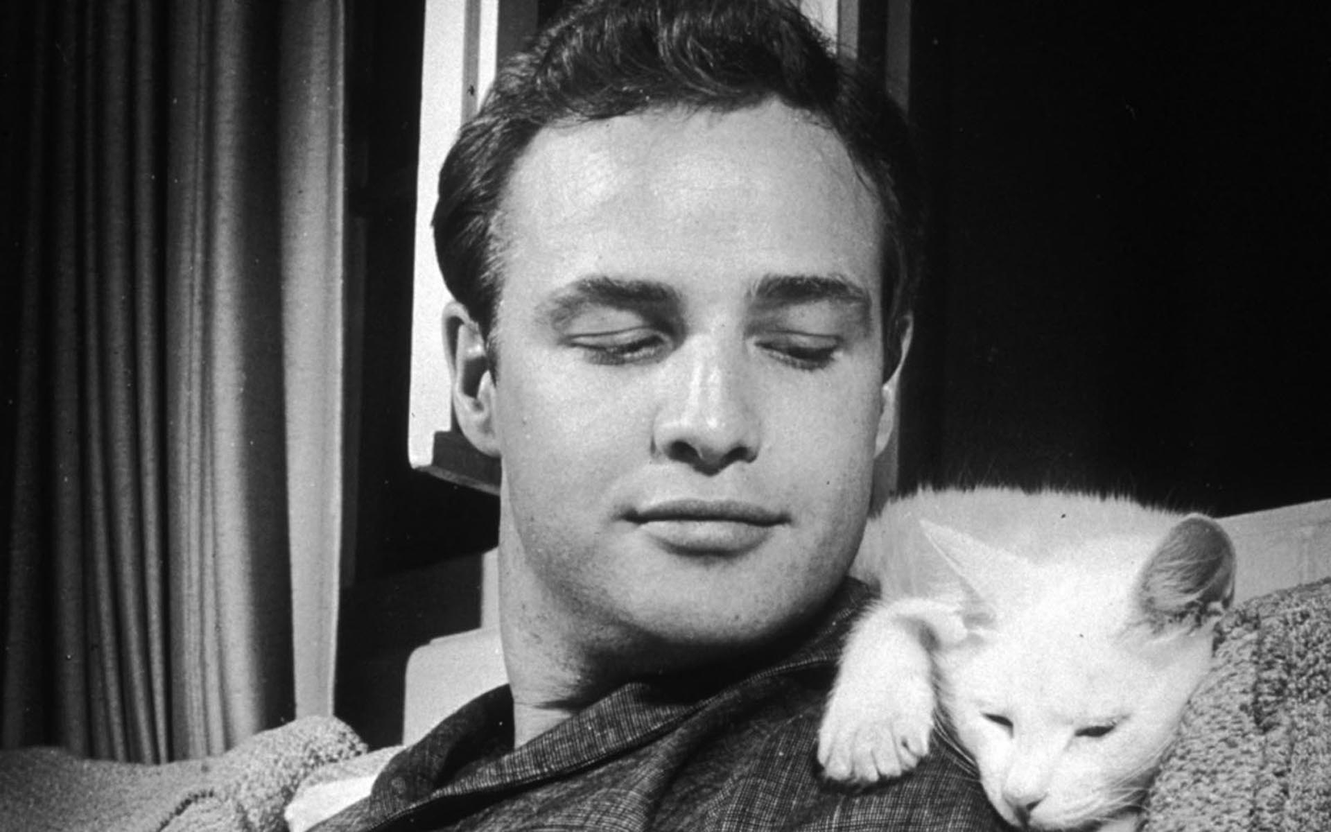 Marlon Brando, Schauspieler, Hintergrund, Film, Kult, 1920x1200 HD Desktop