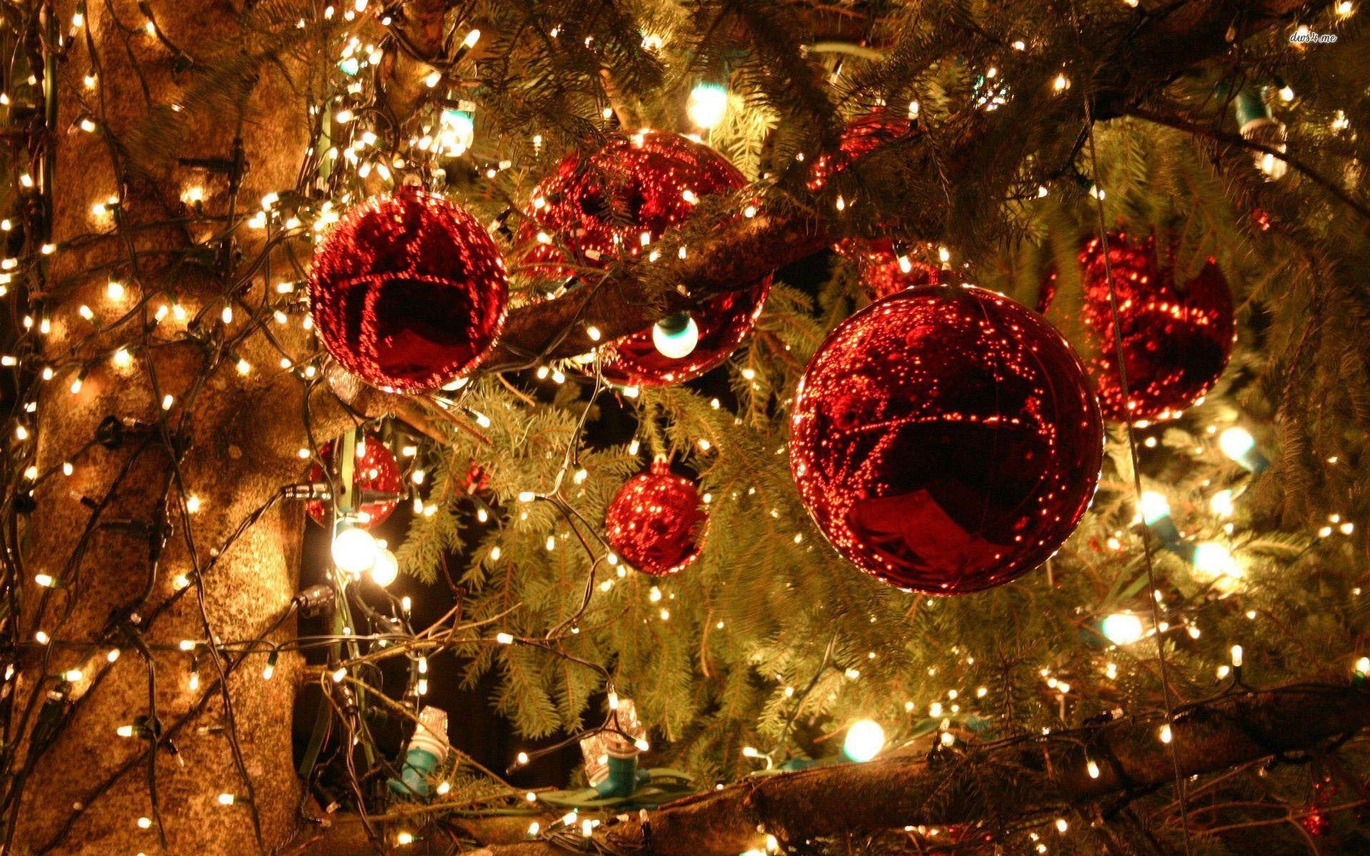 Weihnachtsschmuck, HD, Festlich, Ornament, 1920x1200 HD Desktop