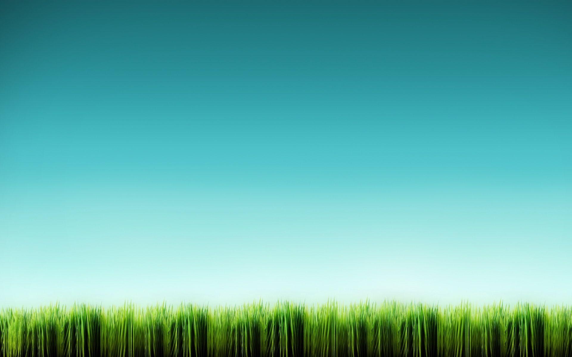 PC, Gras, Bild, Natur, Foto, 1920x1200 HD Desktop