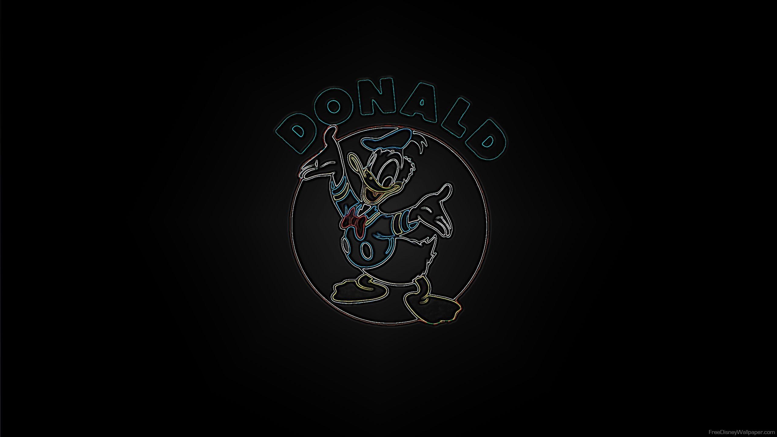 Donald Duck, Cartoons, Disney, Ente, Comicfigur, 2560x1440 HD Desktop