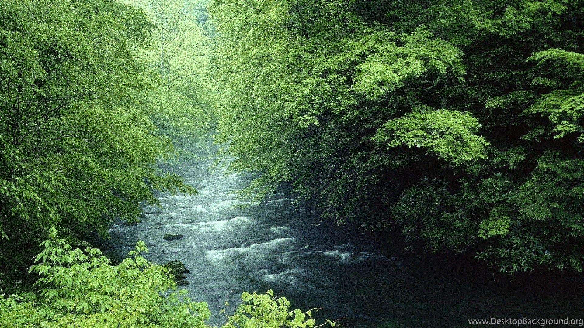 Flüsse, Tennessee, Nationalpark, Hintergrund, USA, 1920x1080 Full HD Desktop