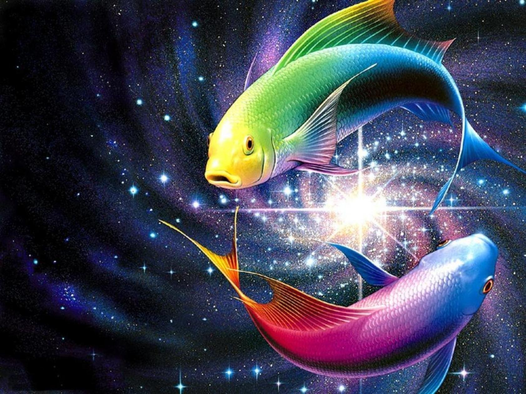 Regenbogen Fisch, HD, Farben, Meer, Exotisch, 1680x1260 HD Desktop