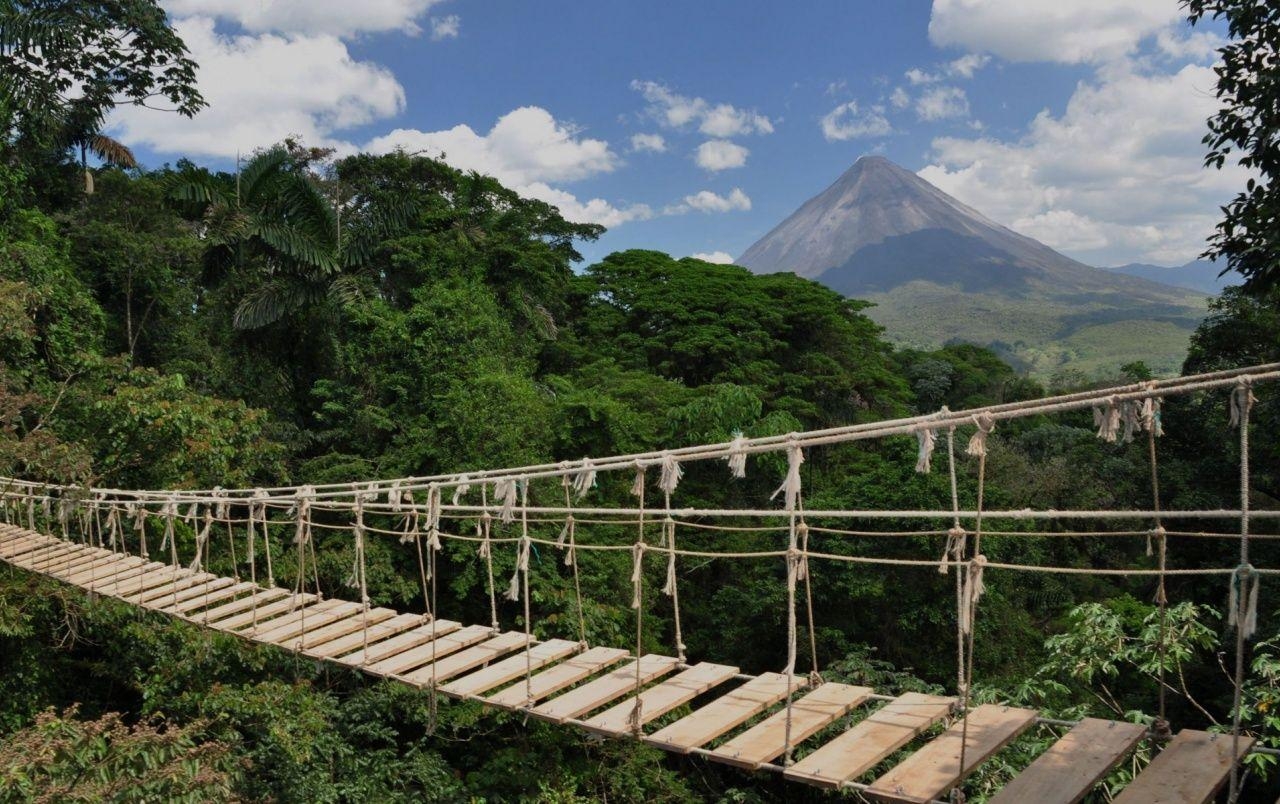 Hängebrücke, Costa Rica, Abenteuerreise, Dschungel, Wald, 1280x810 HD Desktop