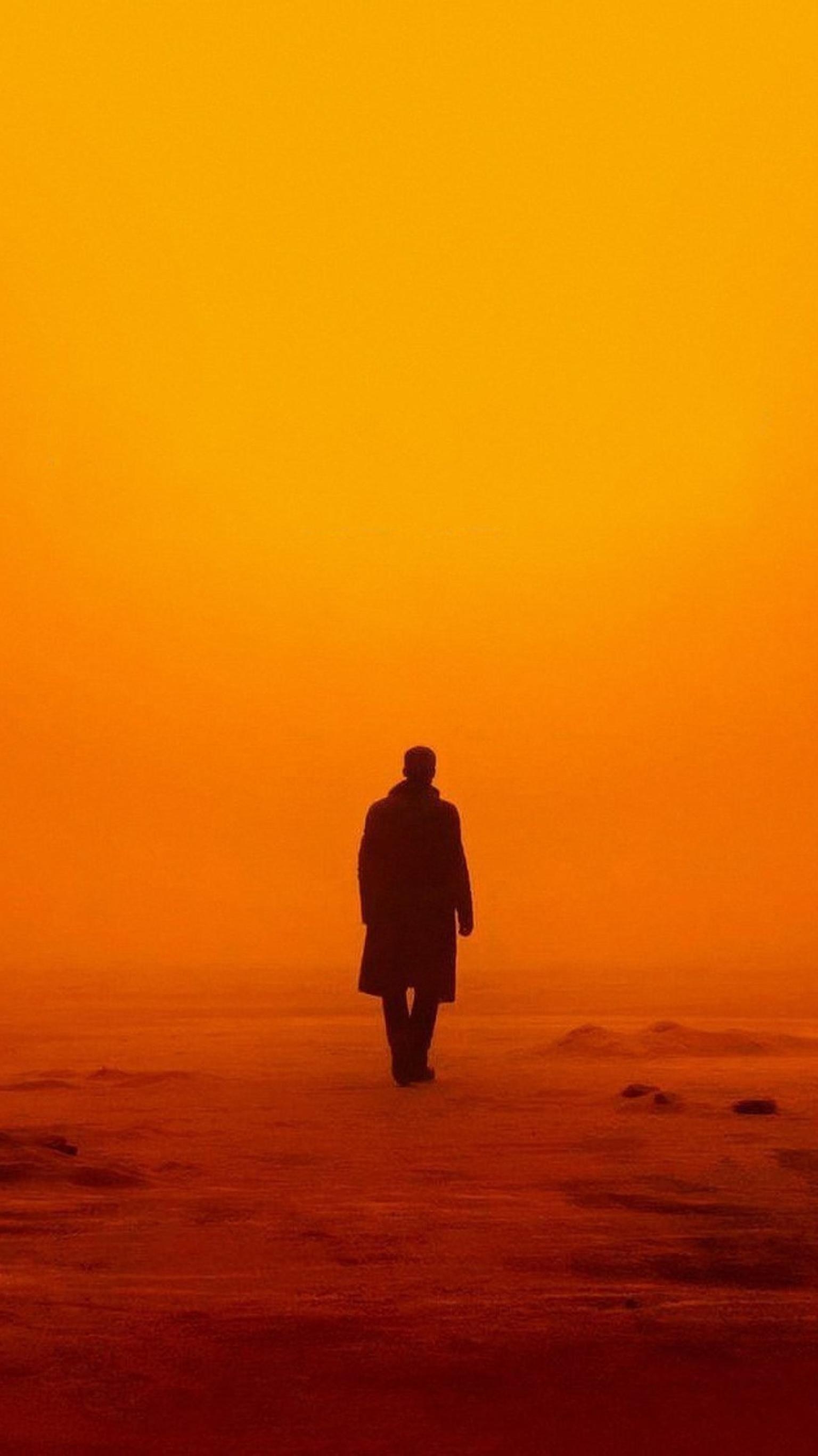 Blade Runner 2049, Handy, Hintergrund, 2017, Film, 1540x2740 HD Handy