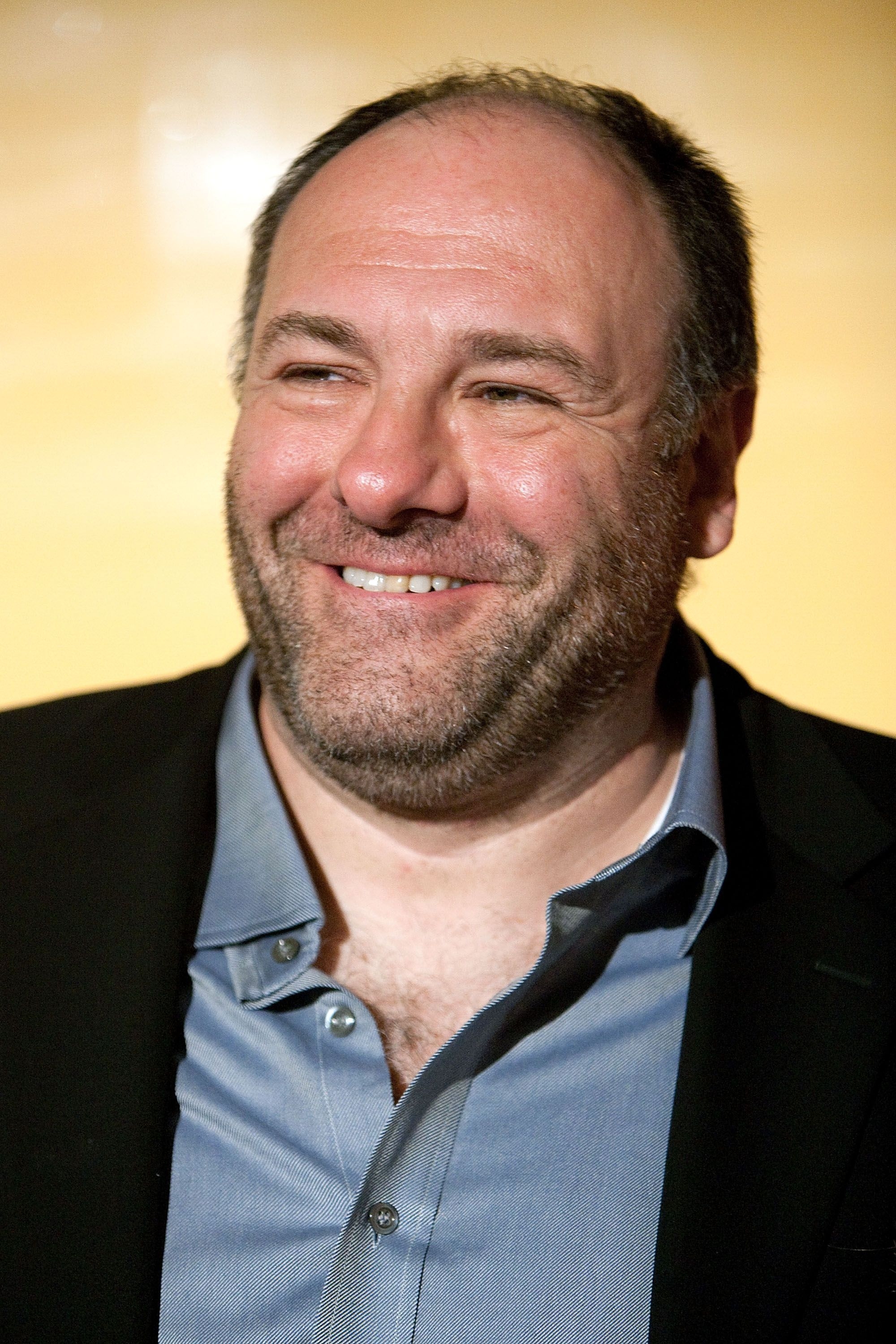 James Gandolfini, Bild, Hintergrund, Filme, Schauspieler, 2000x3000 HD Handy