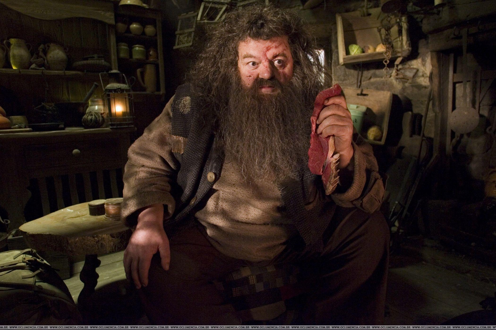 Rubeus Hagrid, Filme, Harry Potter, Charakter, Hintergrund, 2100x1400 HD Desktop