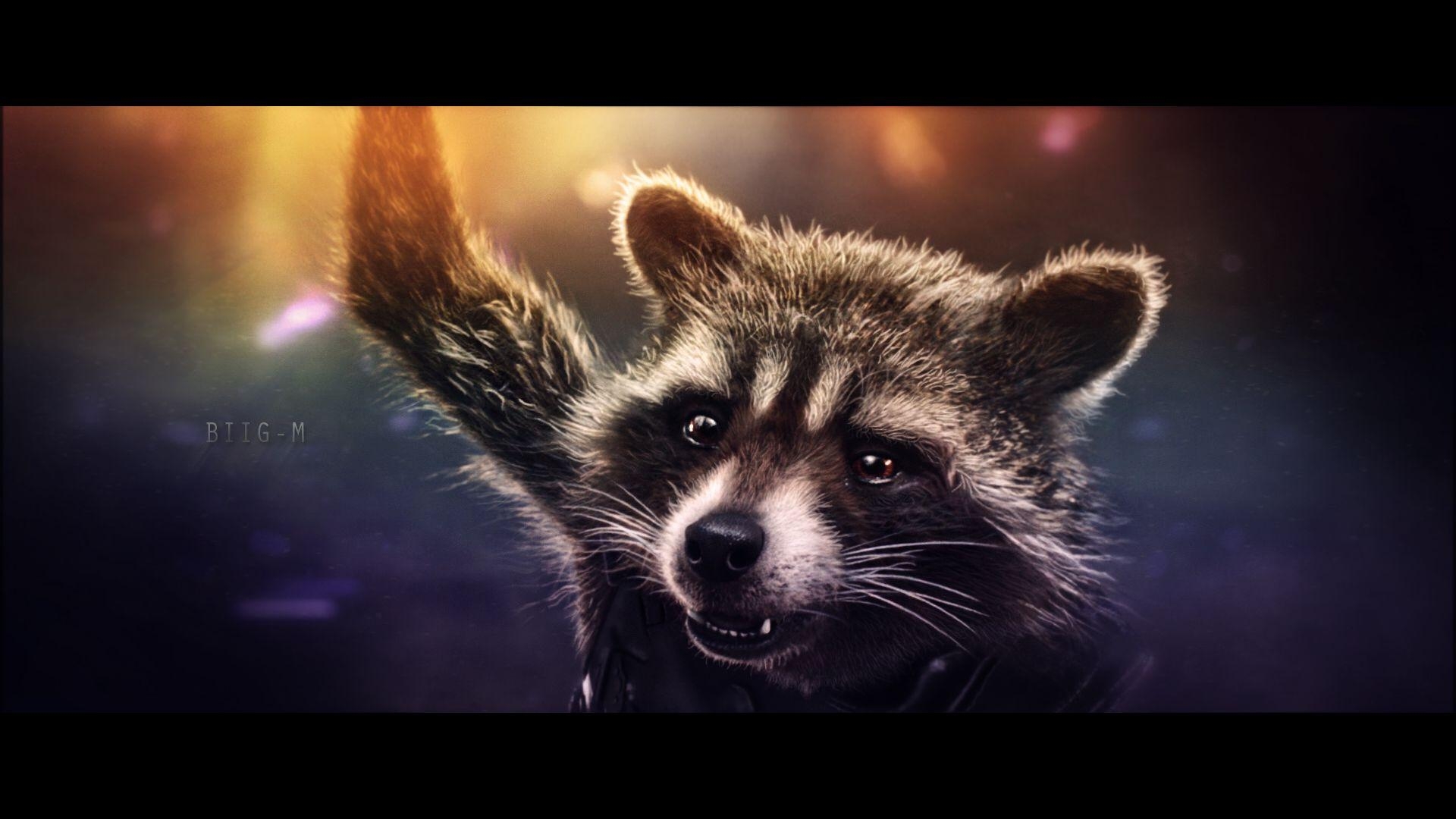 Rocket Raccoon, IAWWE, Film, Marvel, Bild, 1920x1080 Full HD Desktop