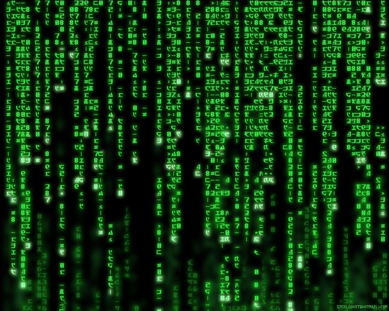 The Matrix, HD, Hintergrund, Film, Bild, 1280x1030 HD Desktop