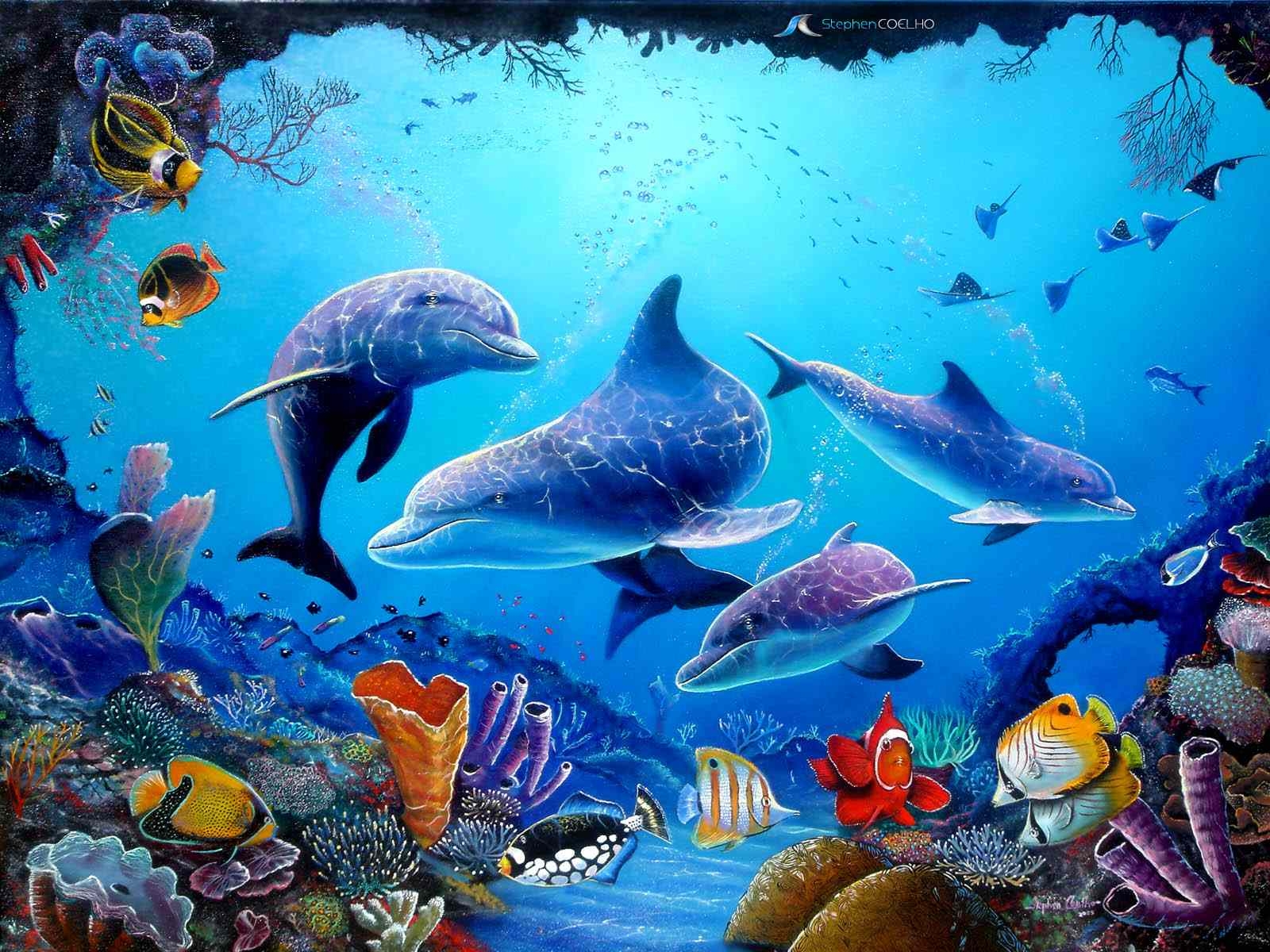 Delfin, Hintergrund, Meerestier, Ozean, Natur, 1600x1200 HD Desktop