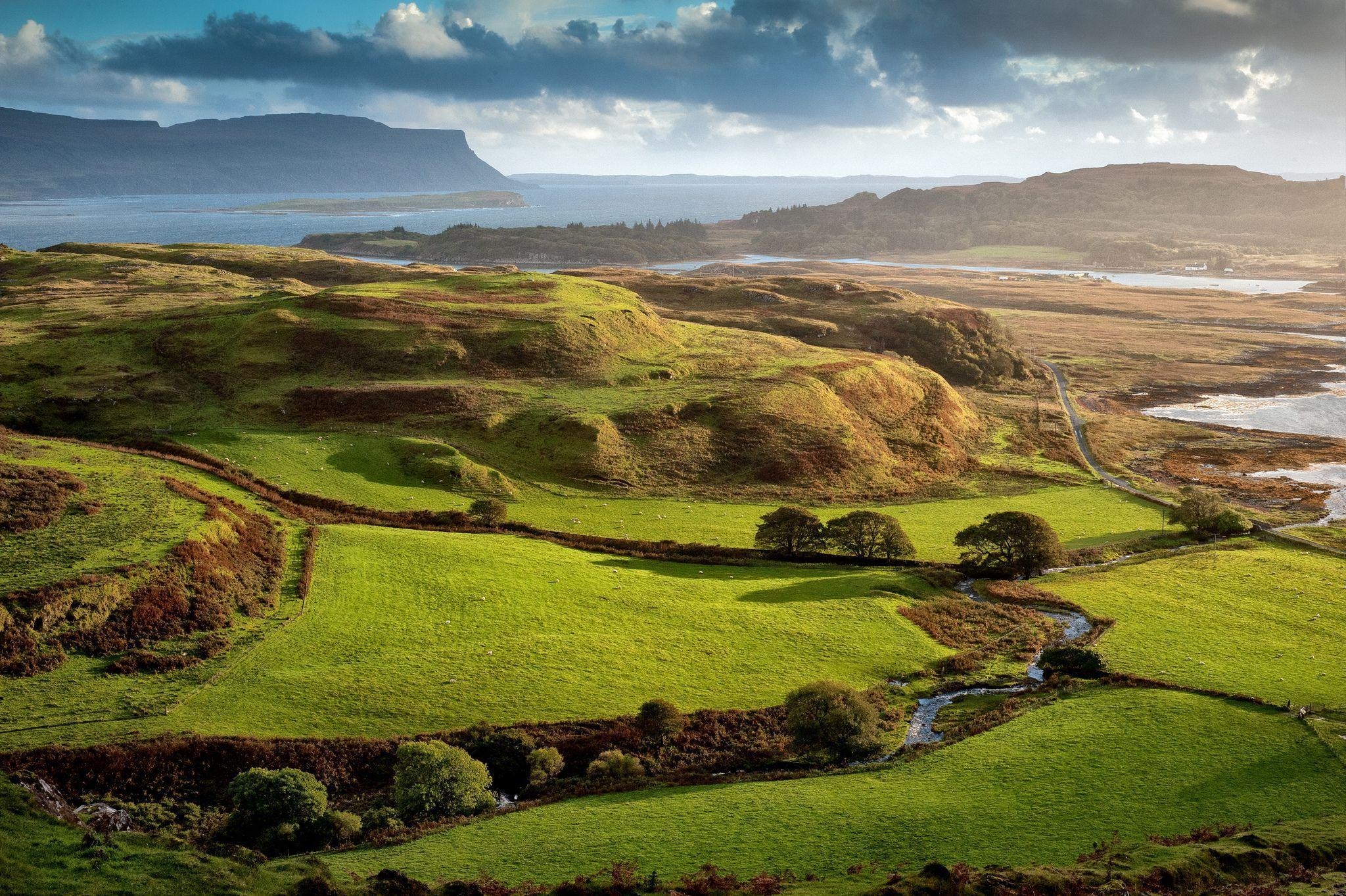 Schottland, Tradition, Rotehead, Highlands, Schafe, 2050x1370 HD Desktop