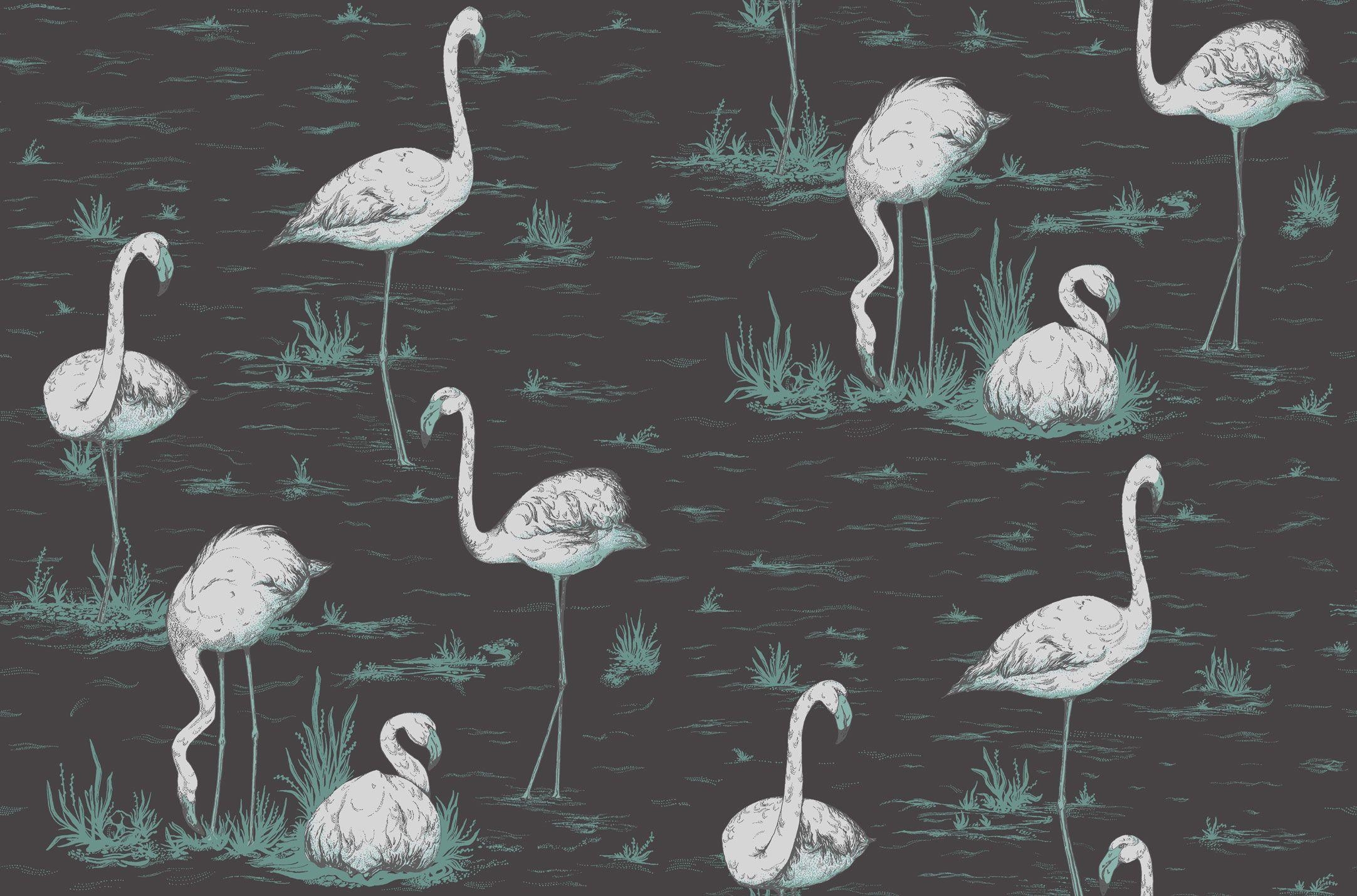 Flamingo, Zahlen, rosa, Tiere, Code, 2170x1430 HD Desktop