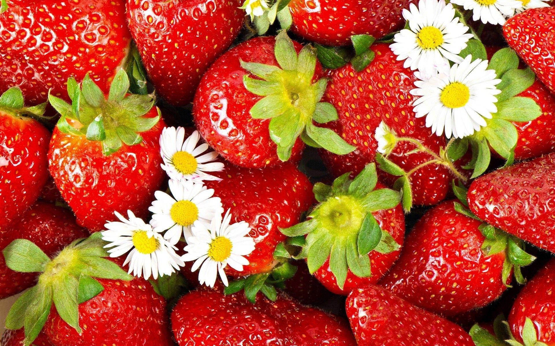 Erdbeere, Hintergrund, Rot, Frucht, Lecker, 1920x1200 HD Desktop