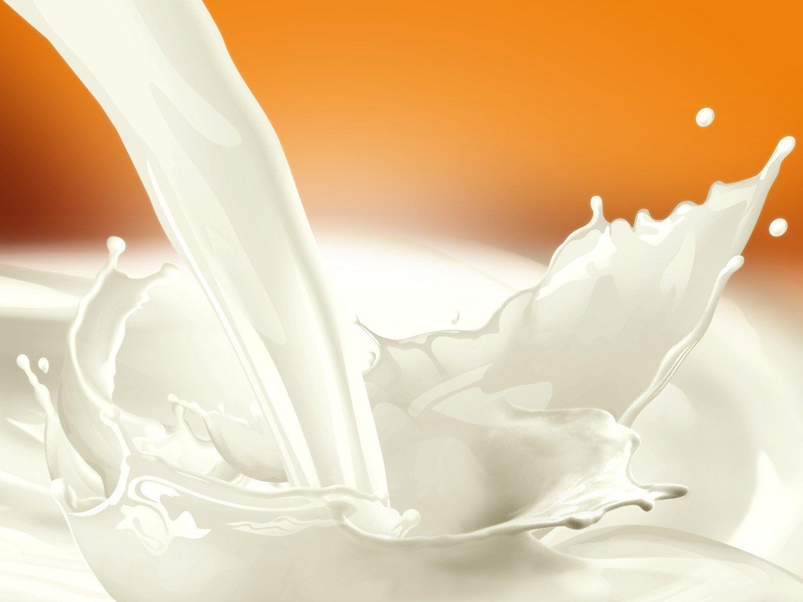 Milch, 27050121, Bild, Nahrung, Getränk, 1600x1200 HD Desktop