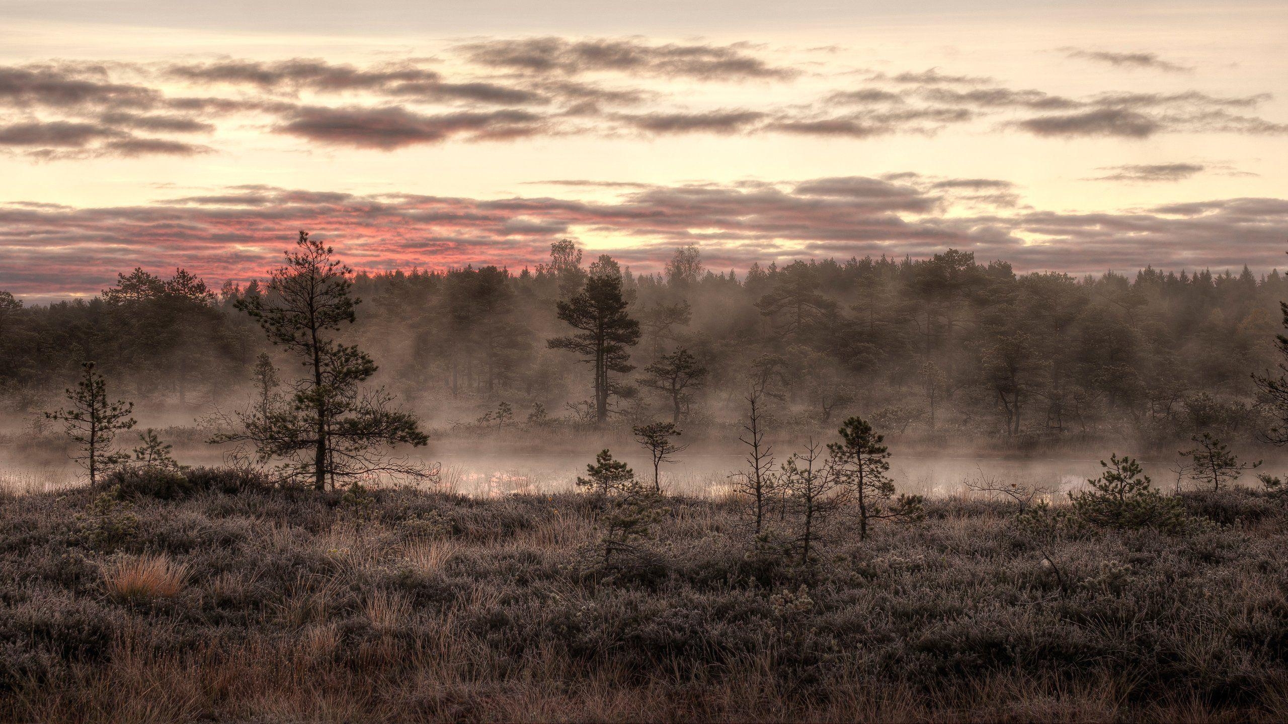 Estland 4K, Desktop, Mobilgerät, Landschaft, Reisen, 2560x1440 HD Desktop