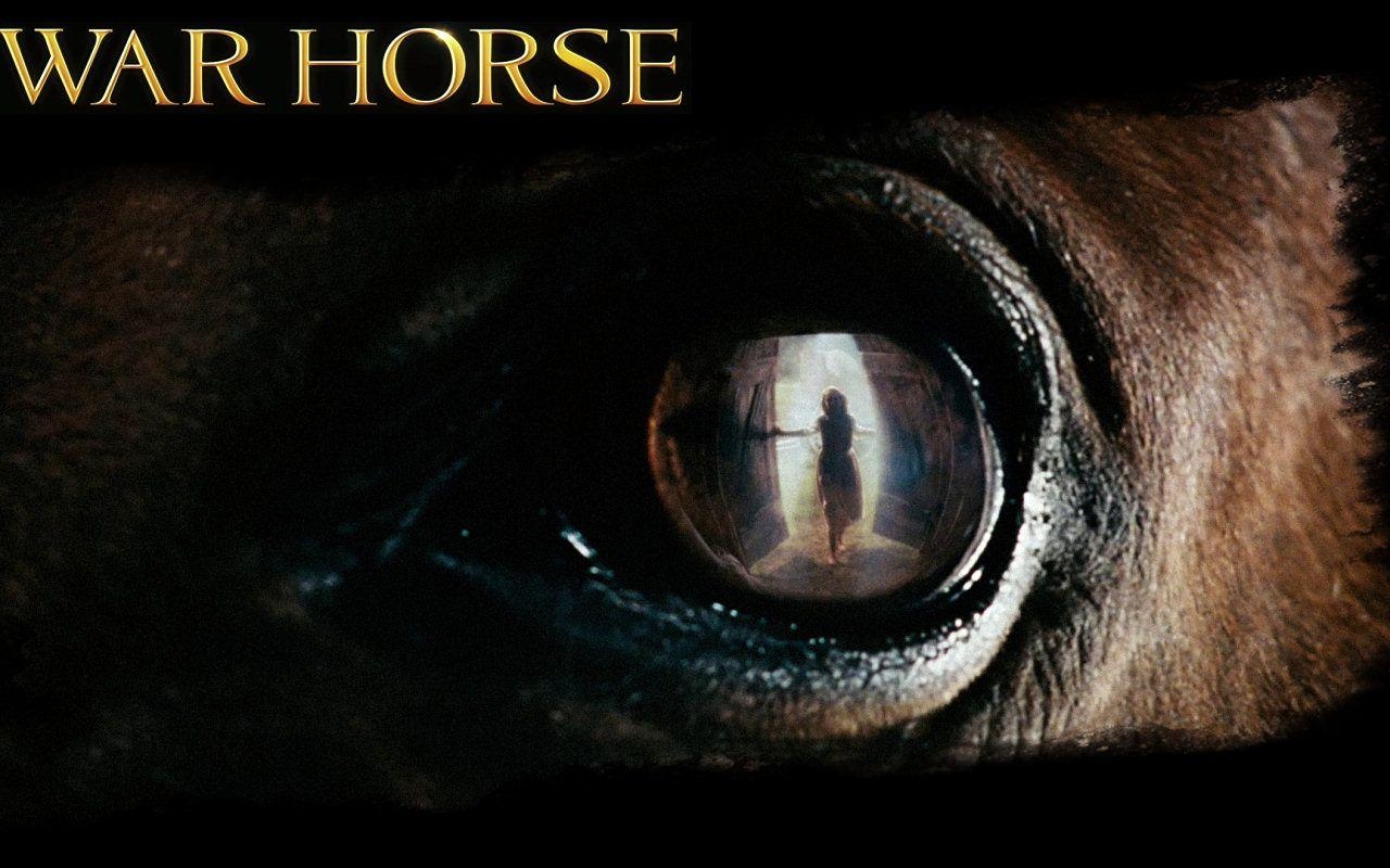 Filmplakat, Kriegspferd, Filmposter, War Horse, Hintergrund, 1280x800 HD Desktop