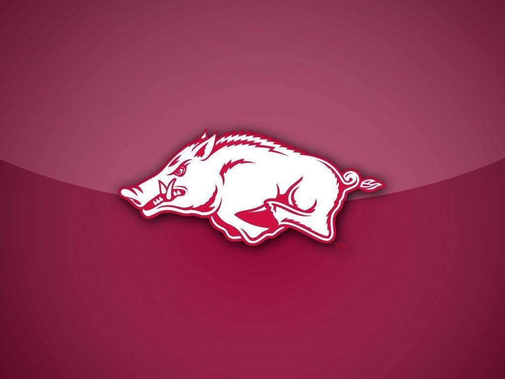 Arkansas, Razorbacks, USA, Hintergrund, Bild, 1030x770 HD Desktop