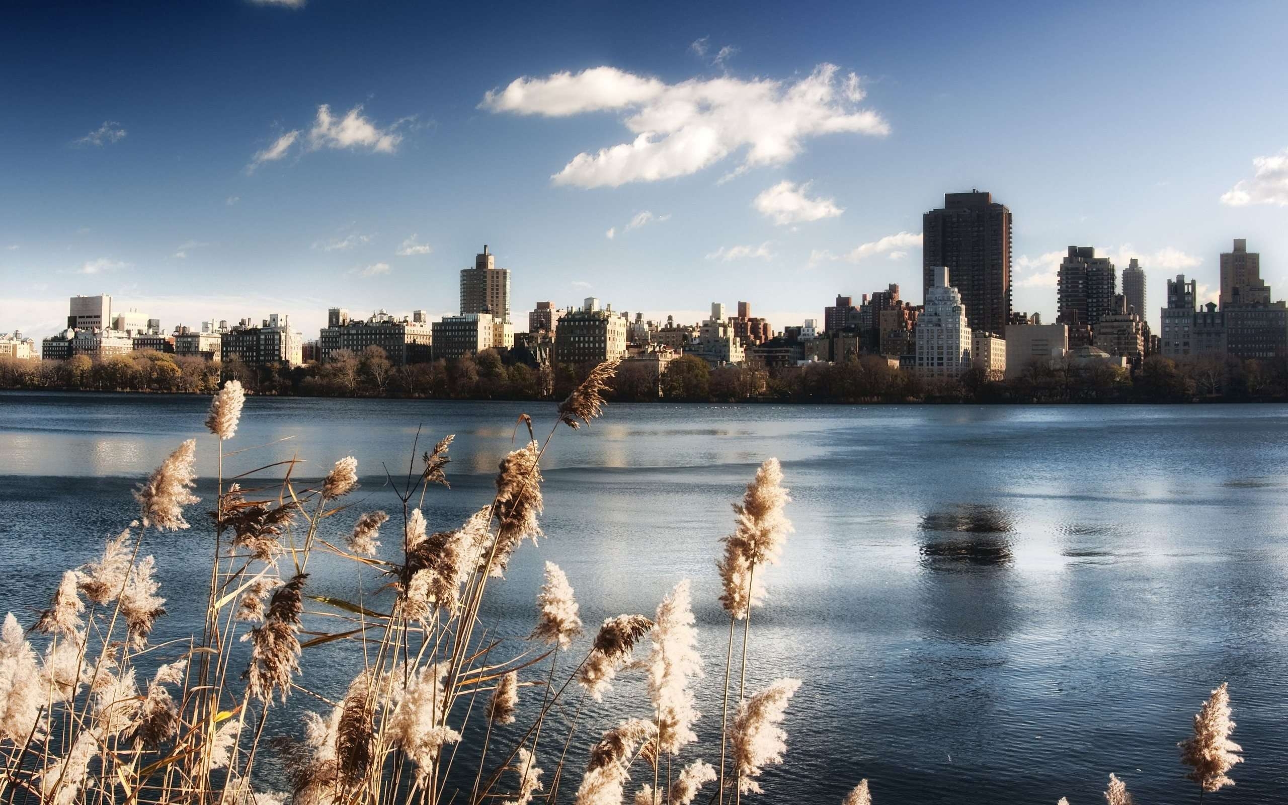 Central Park, NYC, 22026 px, Panorama, Reisen, 2560x1600 HD Desktop