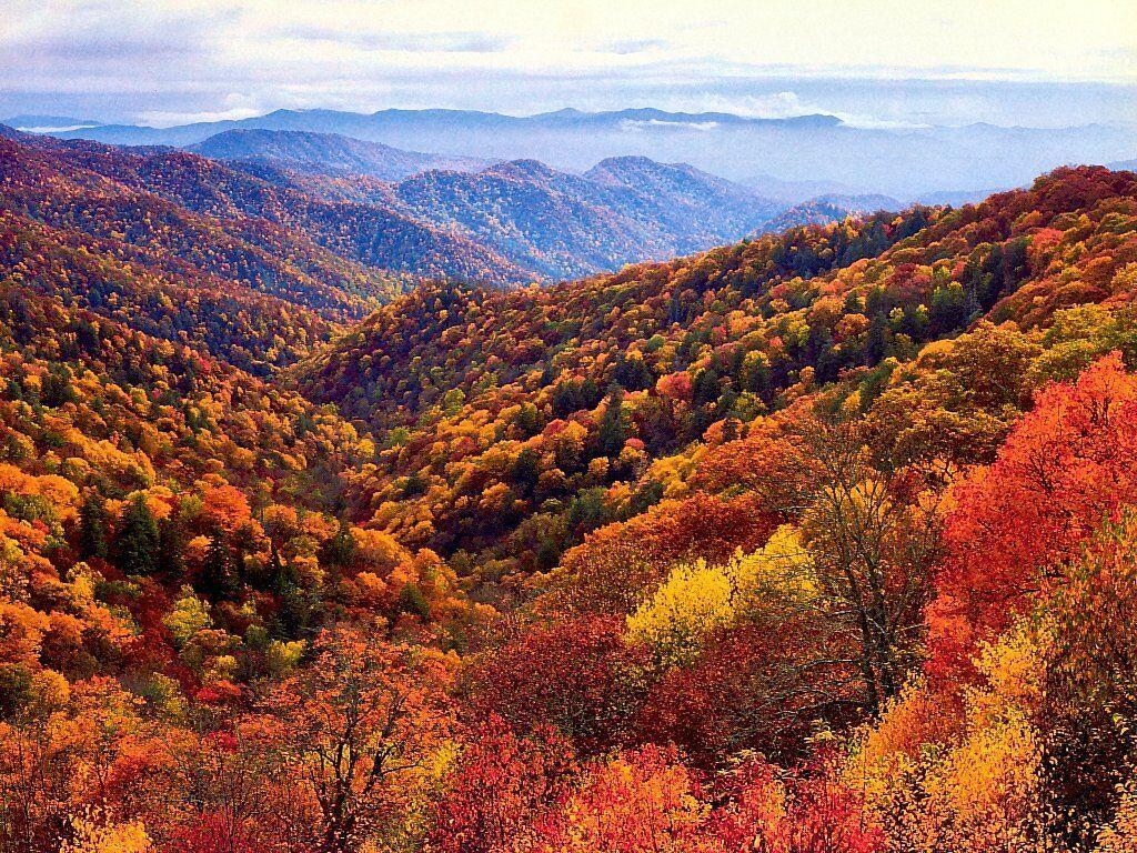 Blauer Kamm Gebirge, Herbst, Unbekannter Fotograf, Tennessee, Natur, 1030x770 HD Desktop