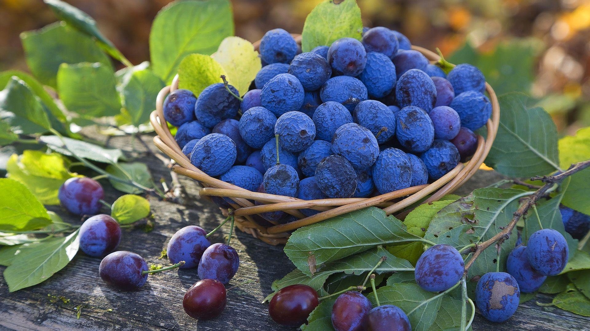 Blaubeere, Bild, Frucht, Detail, HD, 1920x1080 Full HD Desktop