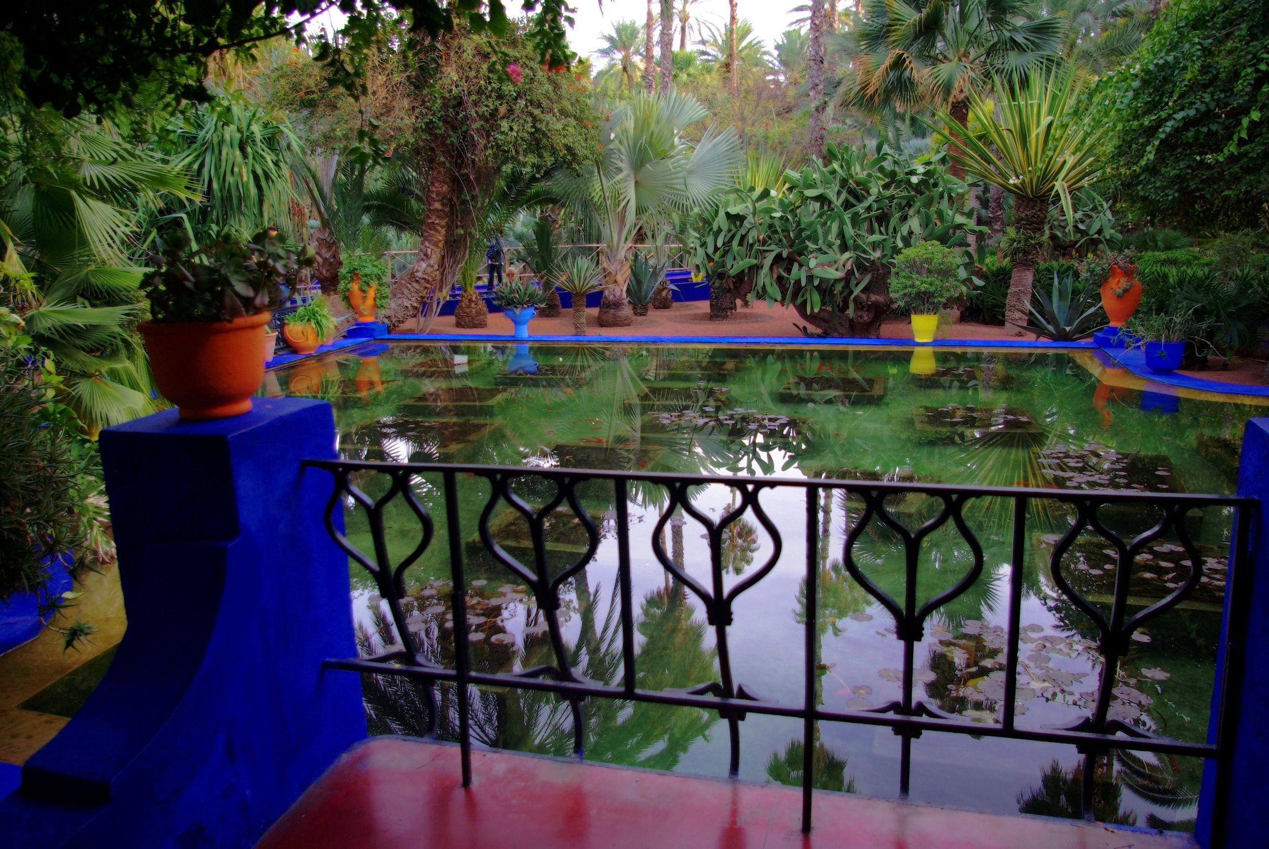 Marrakesch, Marokko, Jardin Majorelle, Natur, HD, 2600x1740 HD Desktop