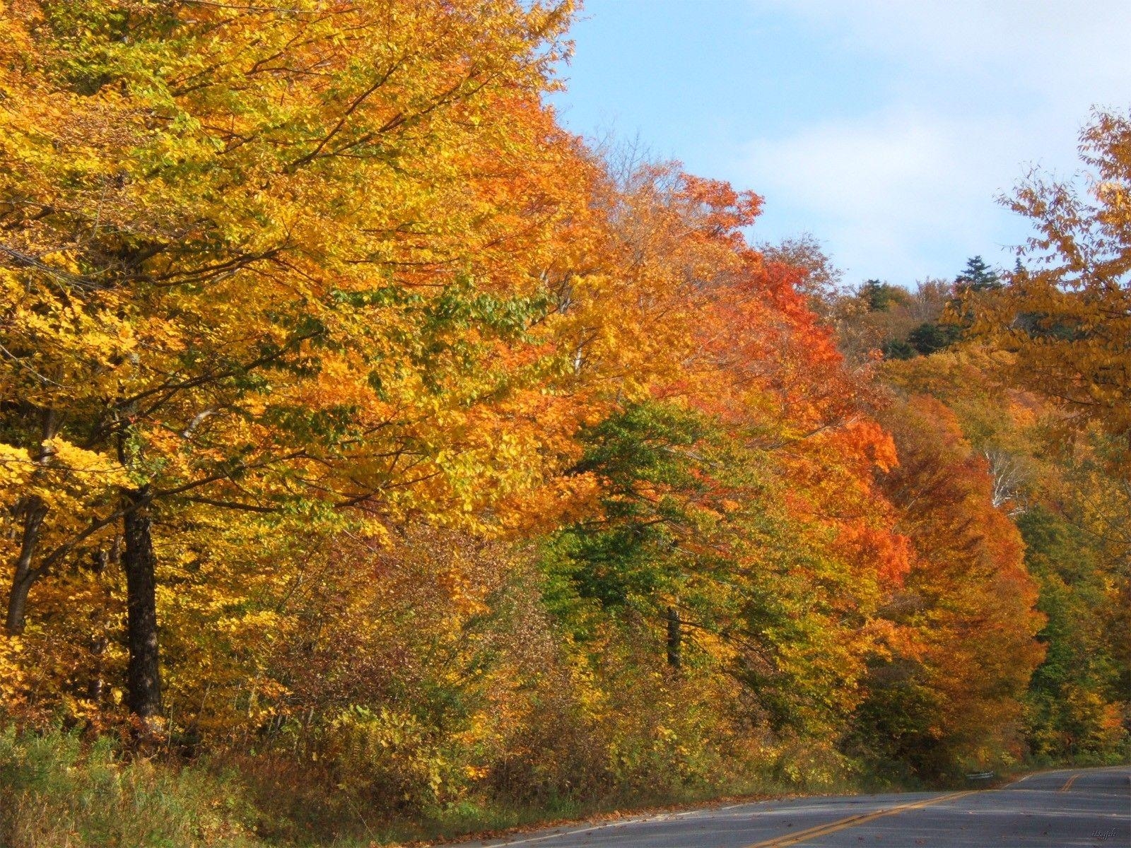 Wälder, Bäume, Herbst, Vermont, Laubfarben, 1600x1200 HD Desktop