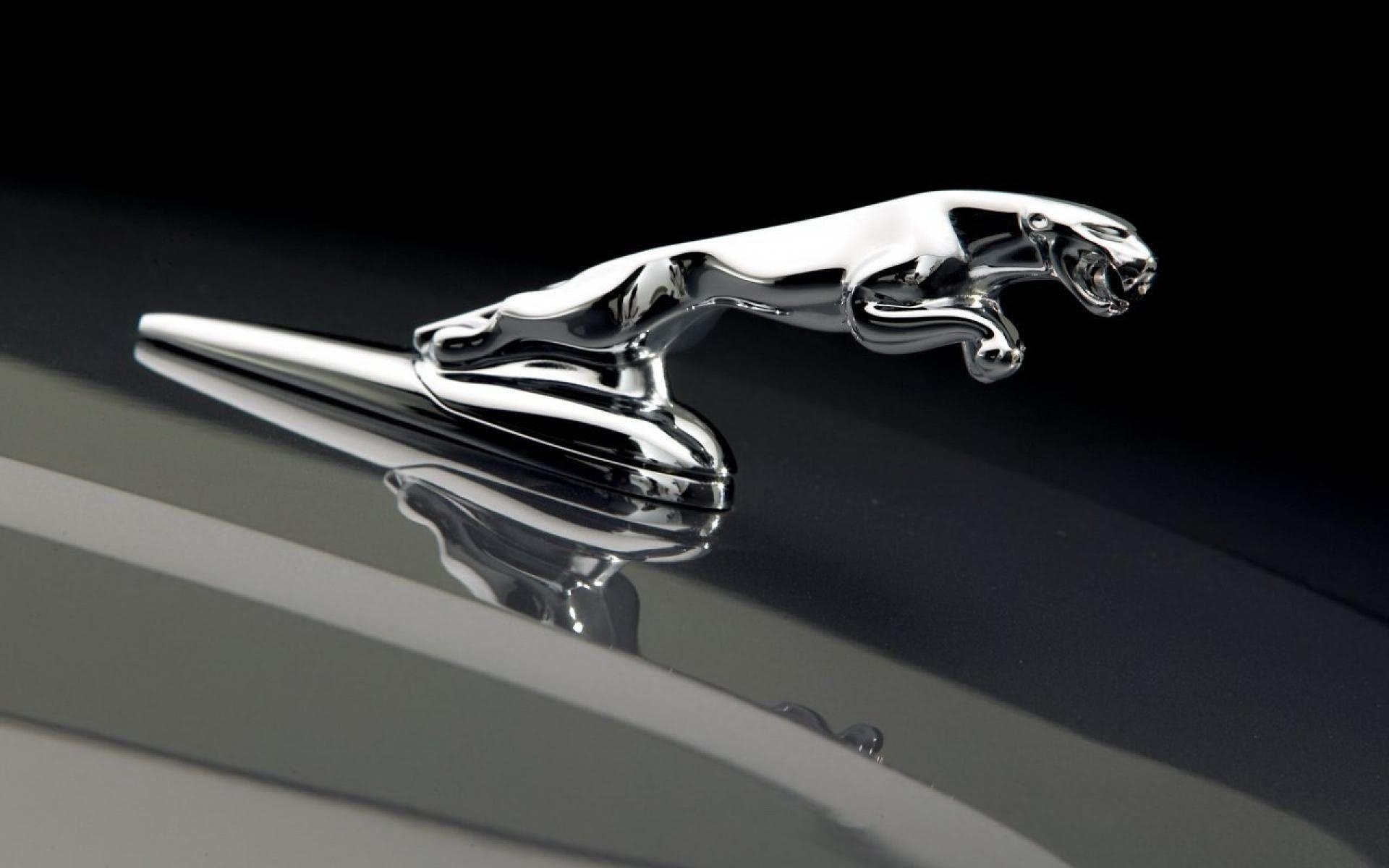 Jaguar Auto, Logo, Fotografie, Exklusiv, Design, 1920x1200 HD Desktop