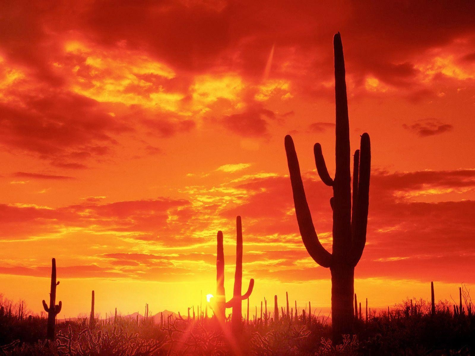 Arizona, Desktop, USA, Bild, Hintergrund, 1600x1200 HD Desktop