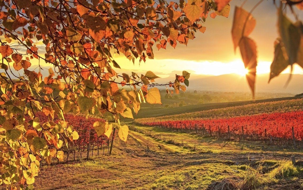 Sonnenaufgang, Herbst, Connecticut, kostenlos, Download, 1280x810 HD Desktop