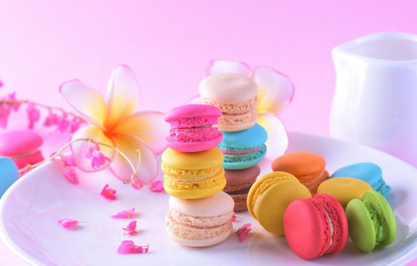 Macaron, Dessert, bunte Blumen, Süßigkeit, Kuchen, 1340x850 HD Desktop