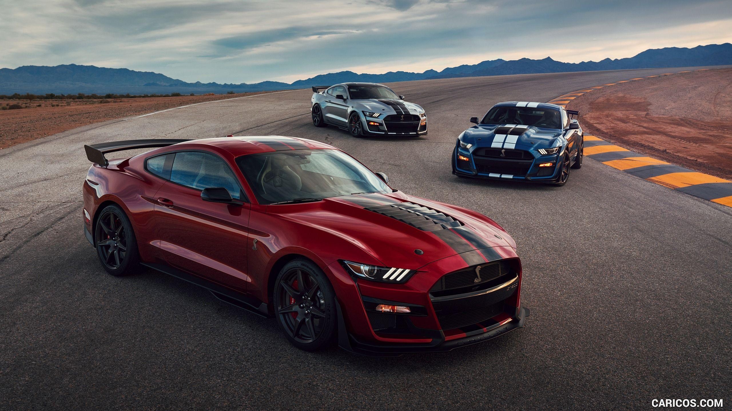 Ford Mustang, Shelby GT500, HD, Autos, Hintergrund, 2560x1440 HD Desktop