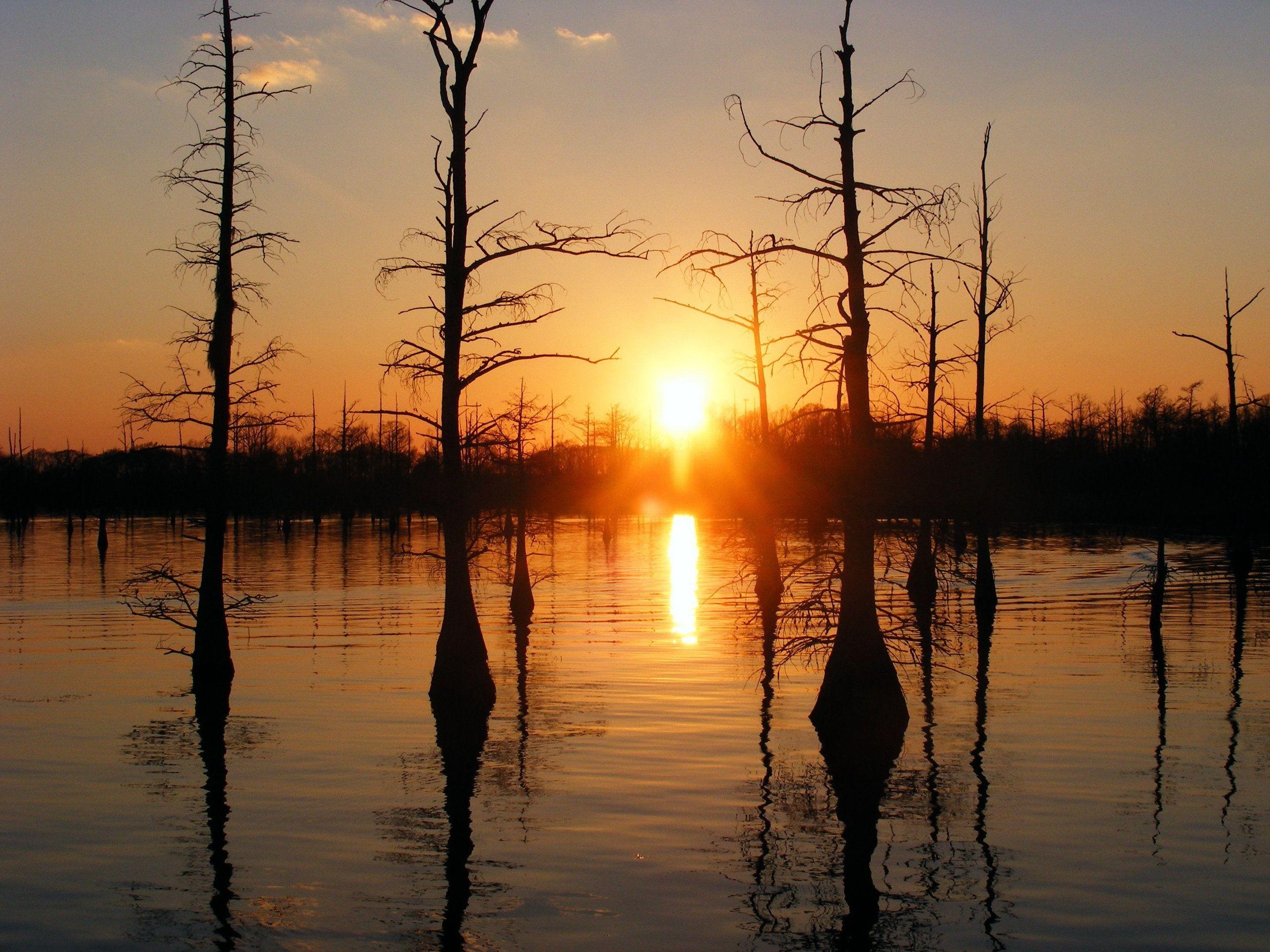 Universität, Louisiana, Monroe, Hochschule, Bildung, 2560x1920 HD Desktop