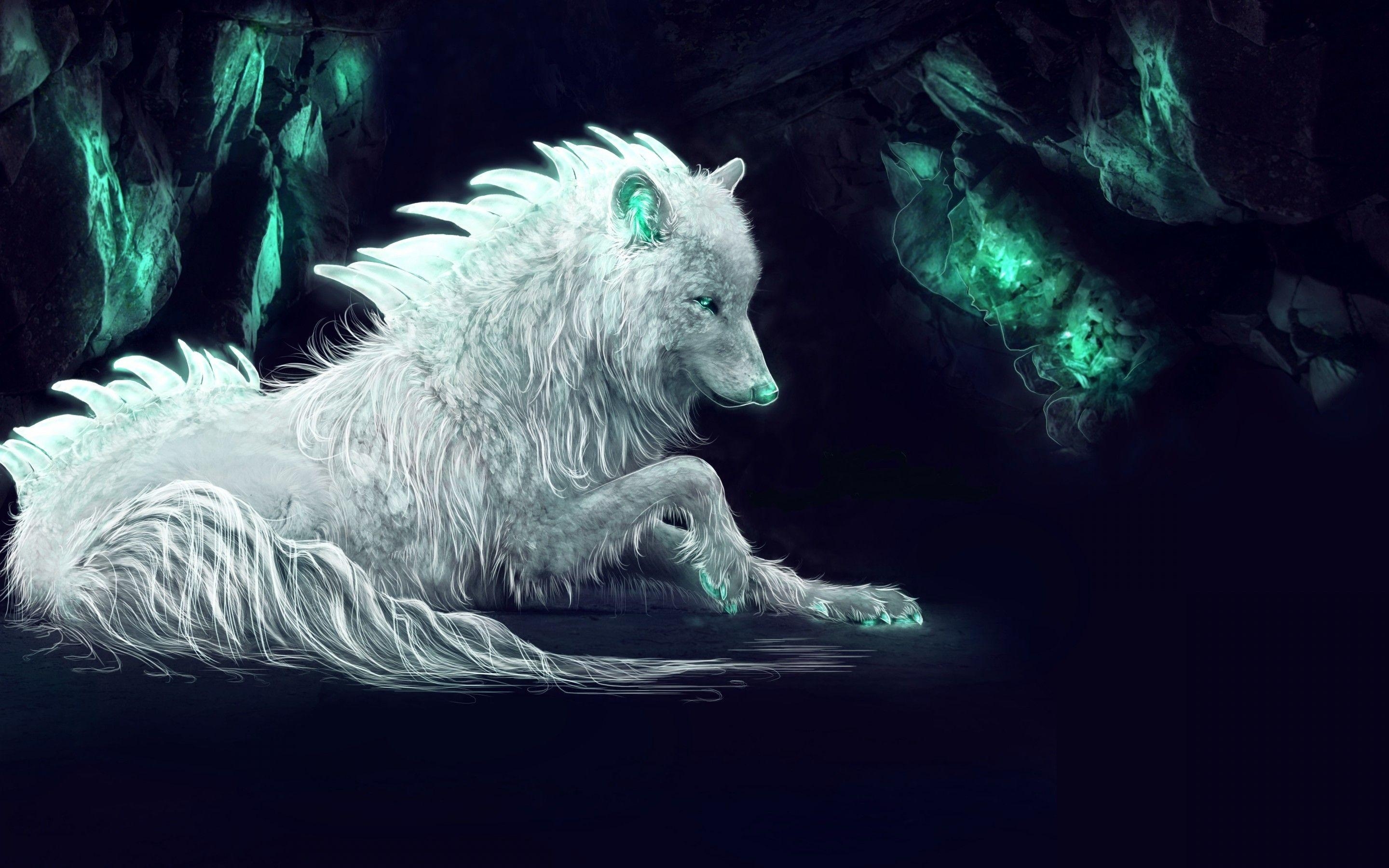 Arktischer Wolf, 2880x, Chromebook, Hintergrund, Canis lupus, 2880x1800 HD Desktop