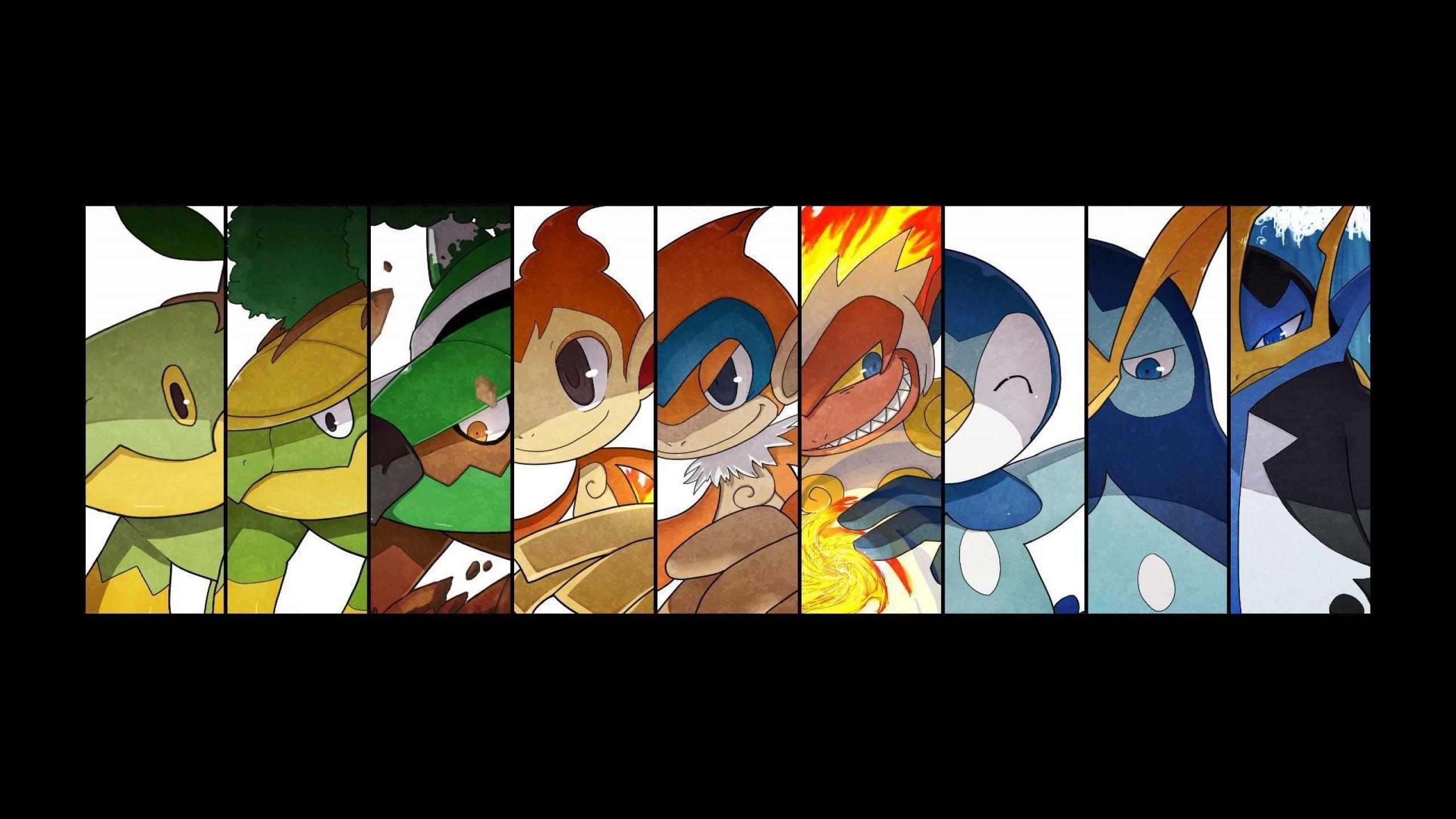 Chimchar, Turtwig, Grotle, Torterra, Pokémon, 2560x1440 HD Desktop