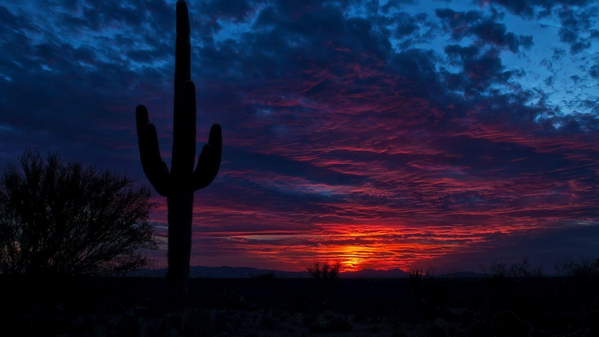 Tucson, Arizona, Sonnenuntergang, Himmel, Landschaft, 1920x1080 Full HD Desktop