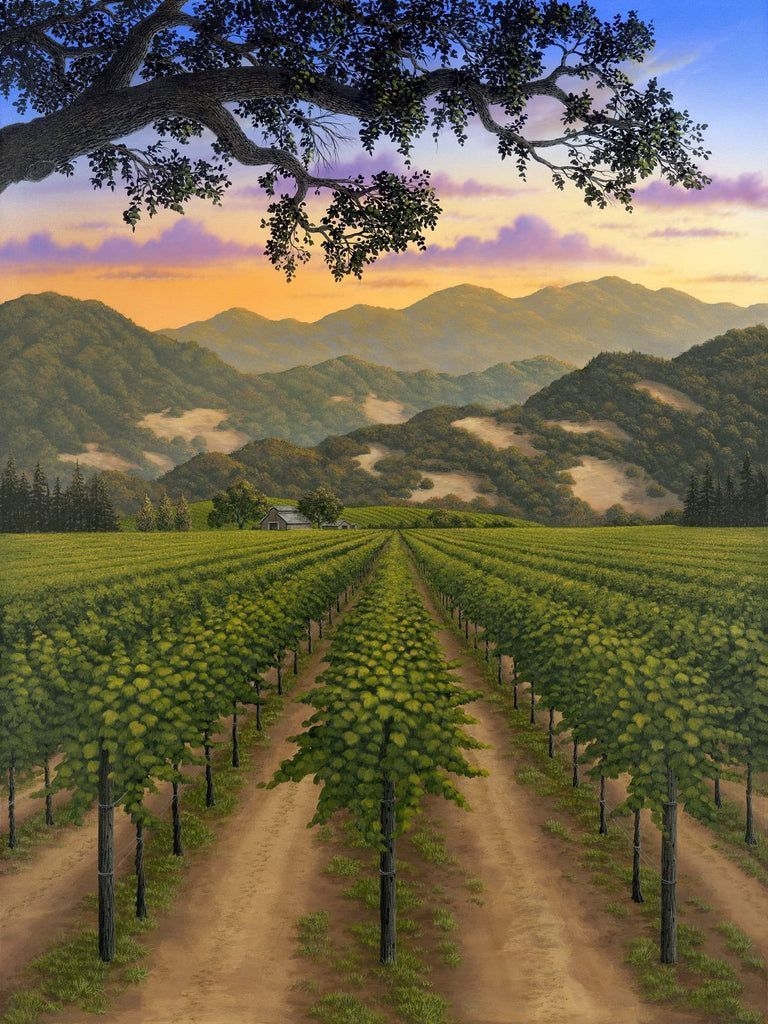 Weinberg, Patrick O'Rourke, Napa Valley, Kalifornien, Kunst, 770x1030 HD Handy