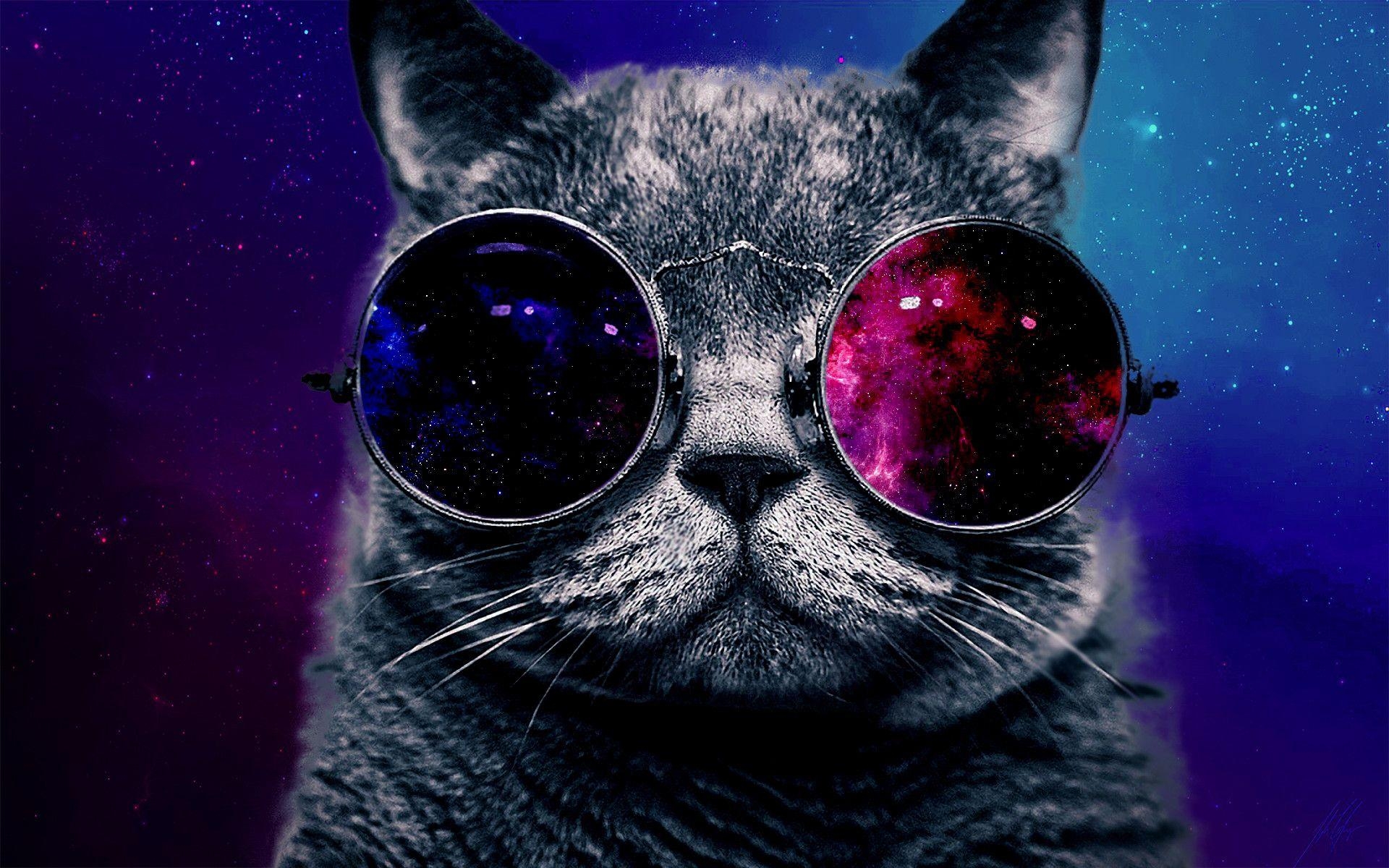 Weltraum Katzen, HD Hintergrund, Galaxie, Bild, Fantasie, 1920x1200 HD Desktop