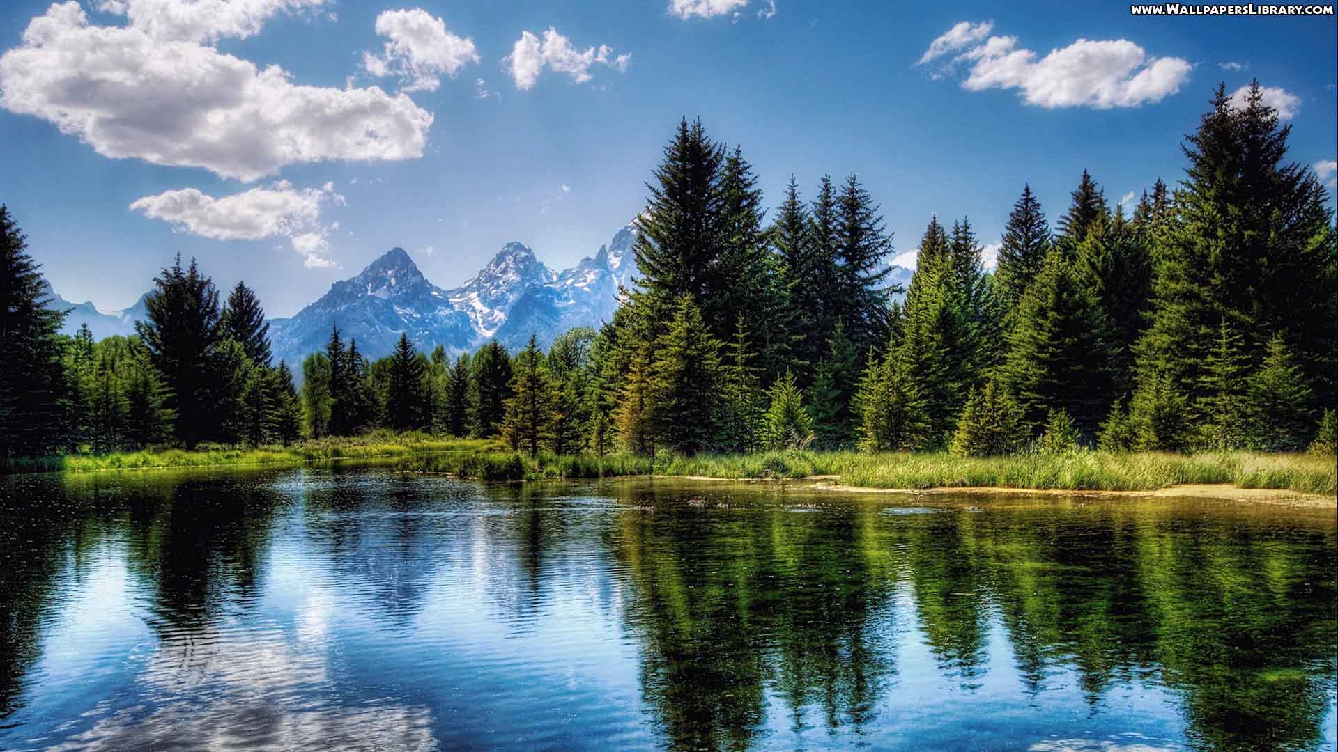 Frühling, Natur, Bild, Jahreszeit, Hintergrund, 1920x1080 Full HD Desktop