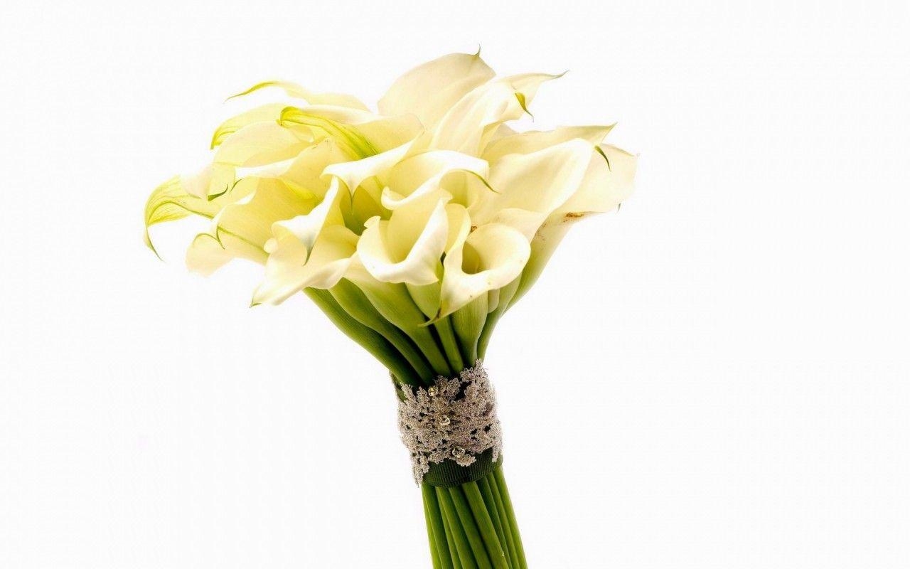 Calla-Lilie, Bouquet, Natur, Hintergrund, Blume, 1280x800 HD Desktop