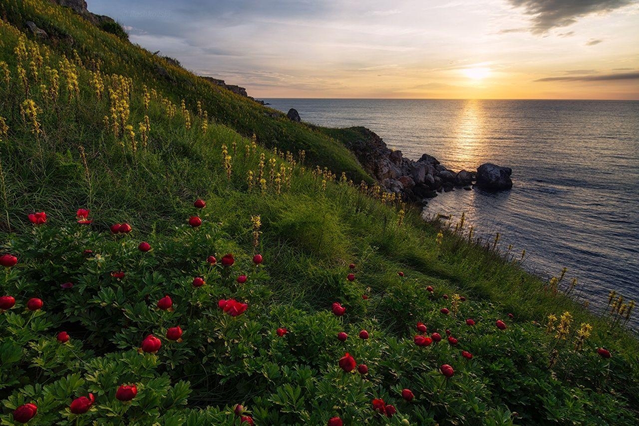 Bulgarien, Yaylata, Schwarzes Meer, Natur, Grasland, 1280x860 HD Desktop