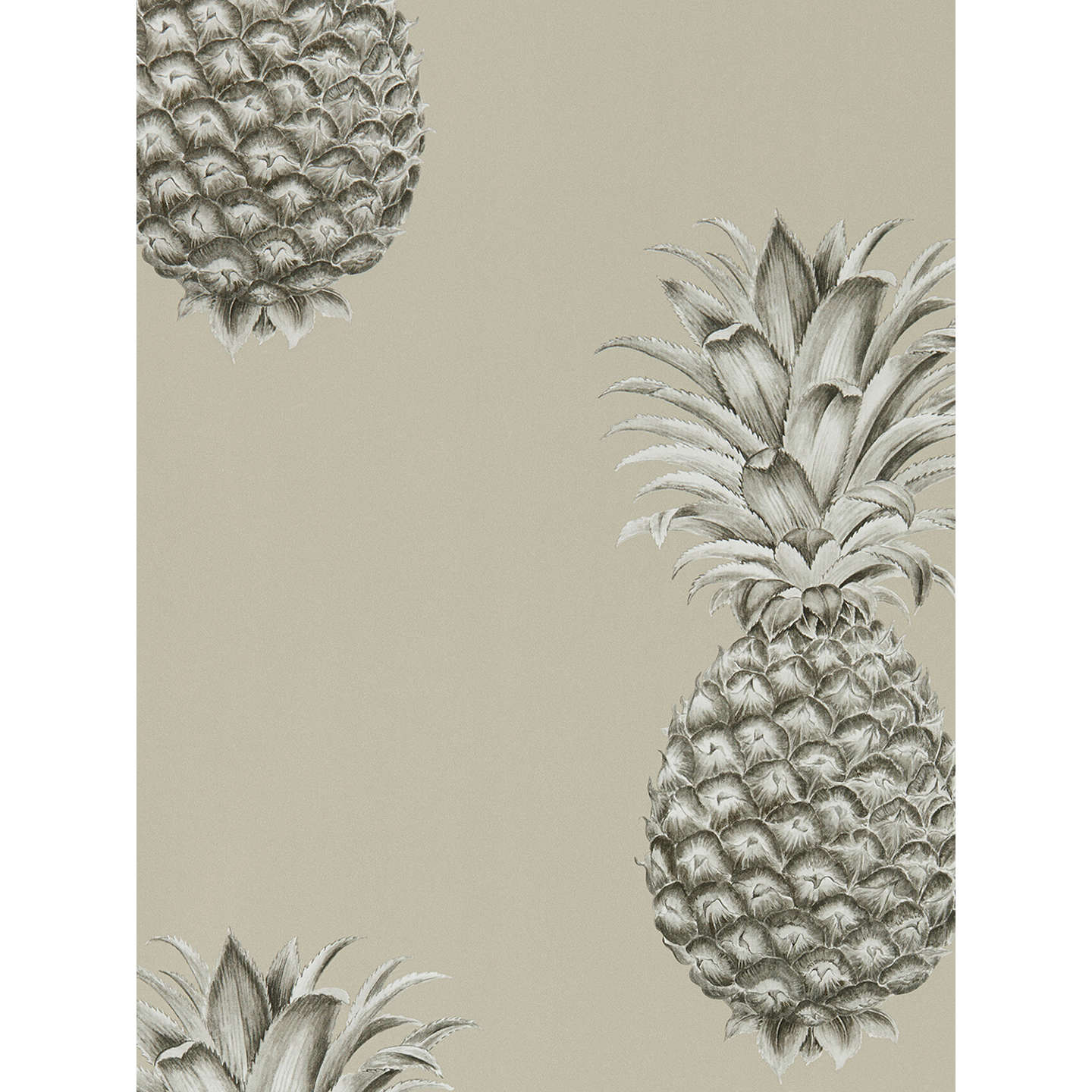 Sanderson, Ananas, Royale, John Lewis, Wallpaper, 1440x1440 Full HD Handy