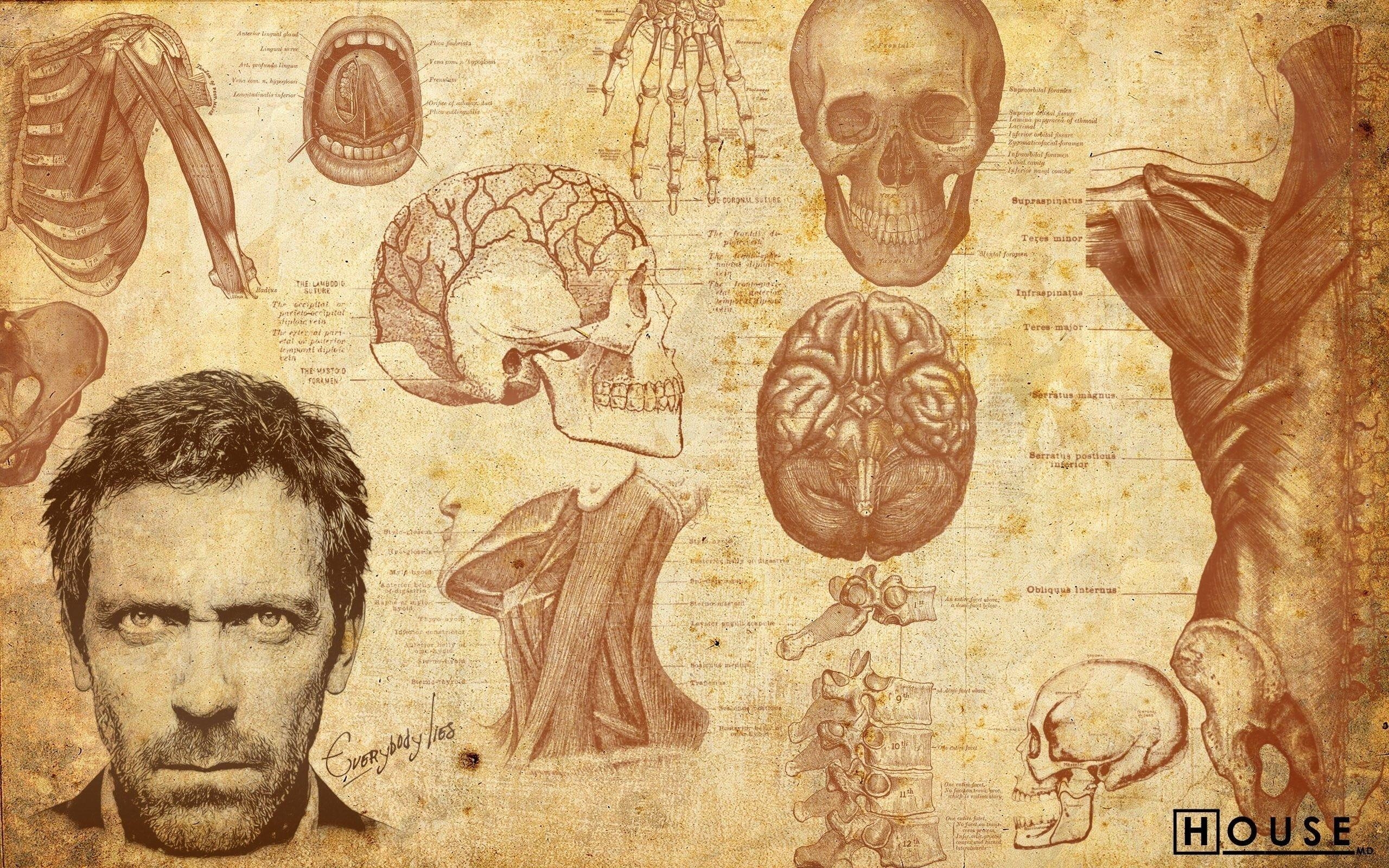 Dr. House, Illustration, Männer, Kunst, Hugh, 2560x1600 HD Desktop