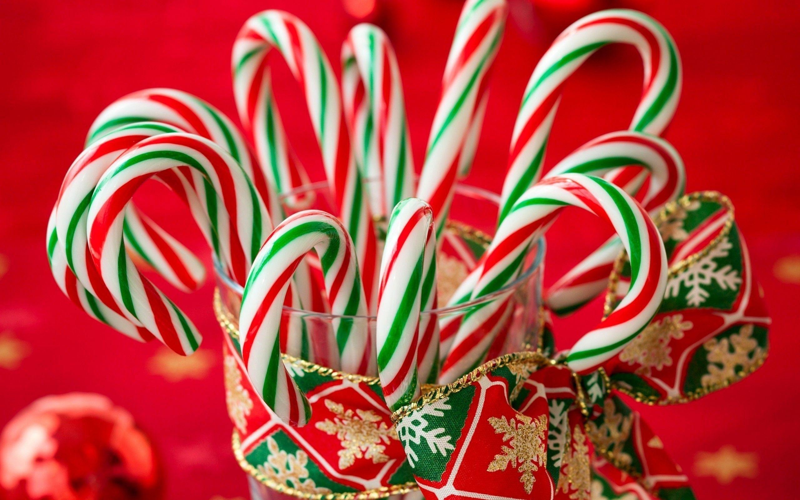 Candy Cane, Hintergrund, Weihnachten, Süßigkeiten, Bild, 2560x1600 HD Desktop