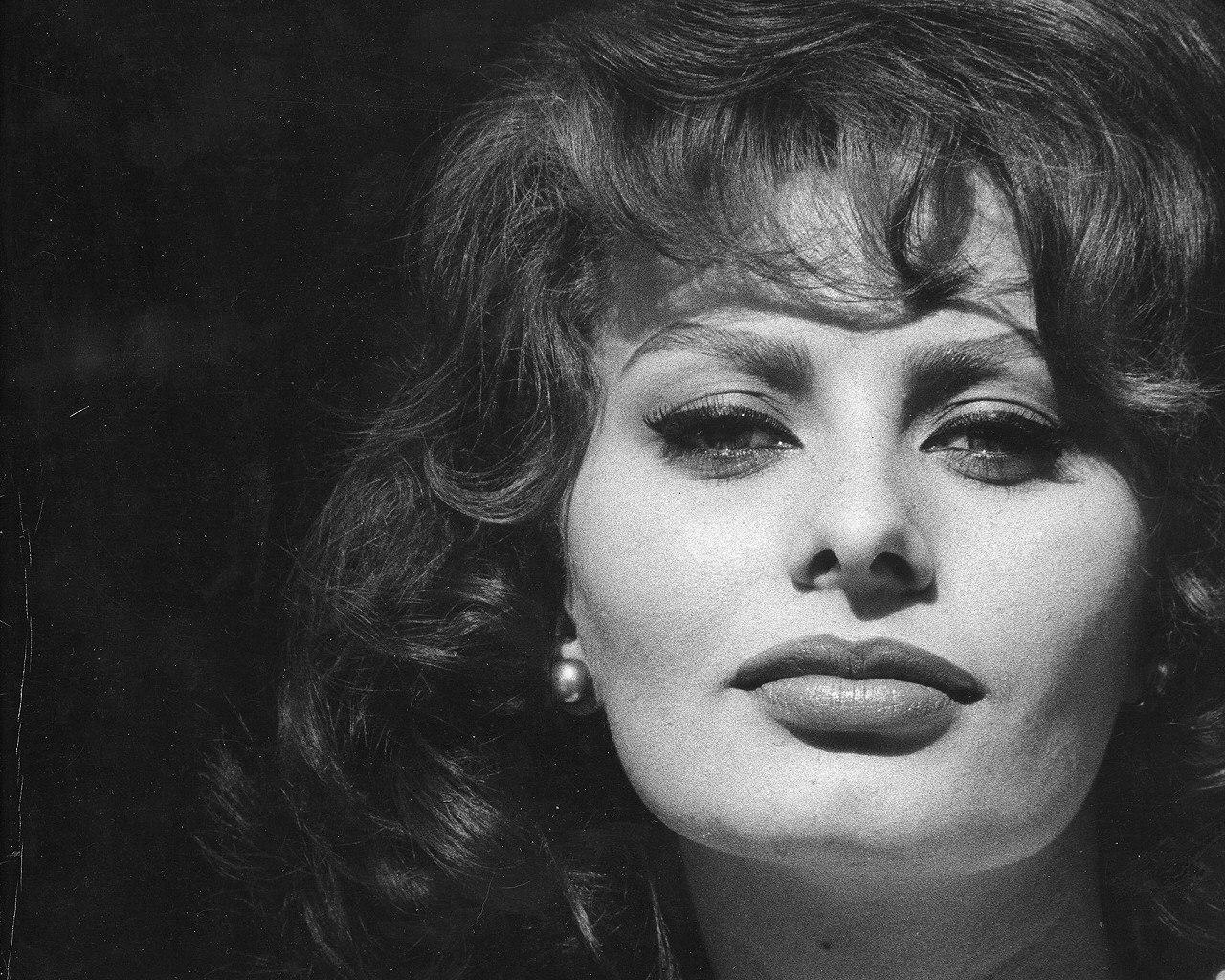 Sophia Loren, Klassiker, Stern, Italien, Legende, 1280x1030 HD Desktop