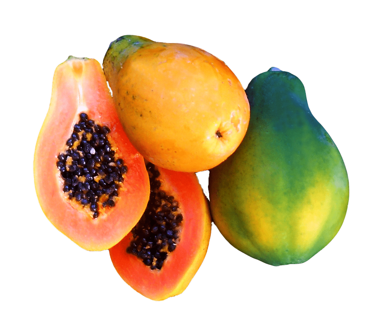 Papaya, Expo, International, Präsentation, Genuss, 1280x1110 HD Desktop