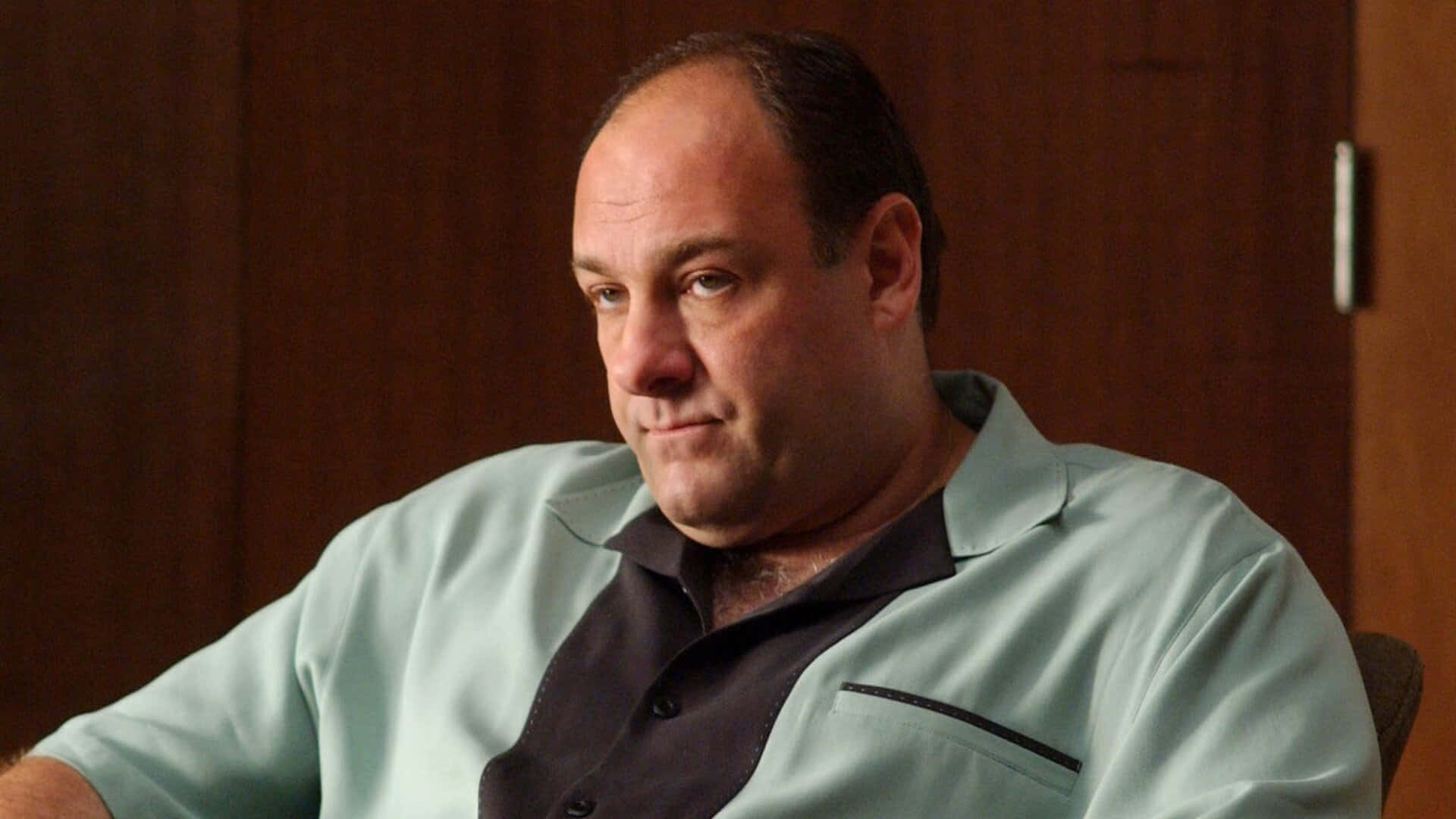 James Gandolfini, Herunterladen, Berühmtheit, Stil, TV-Serie, 1920x1080 Full HD Desktop