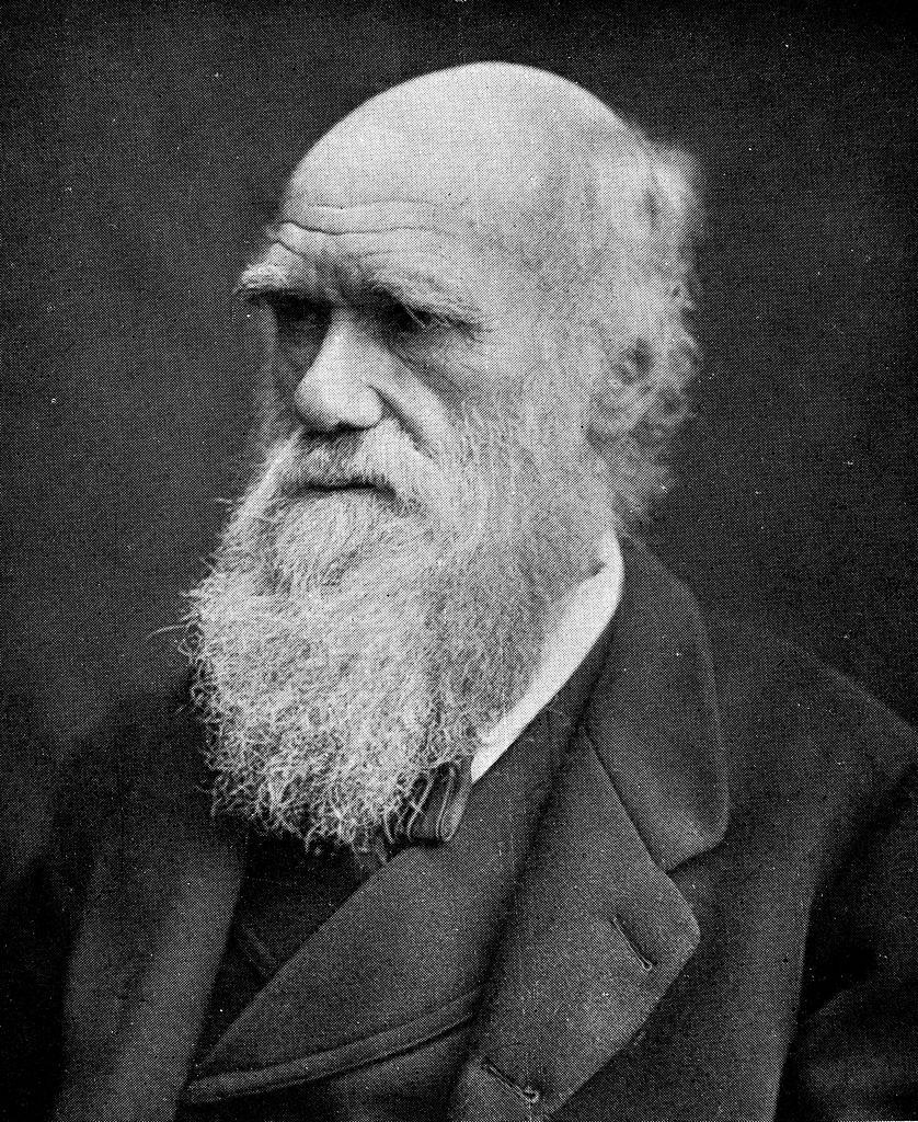 Charles Darwin, Korrespondenzprojekt, Forschung, Oberfläche, 840x1030 HD Handy