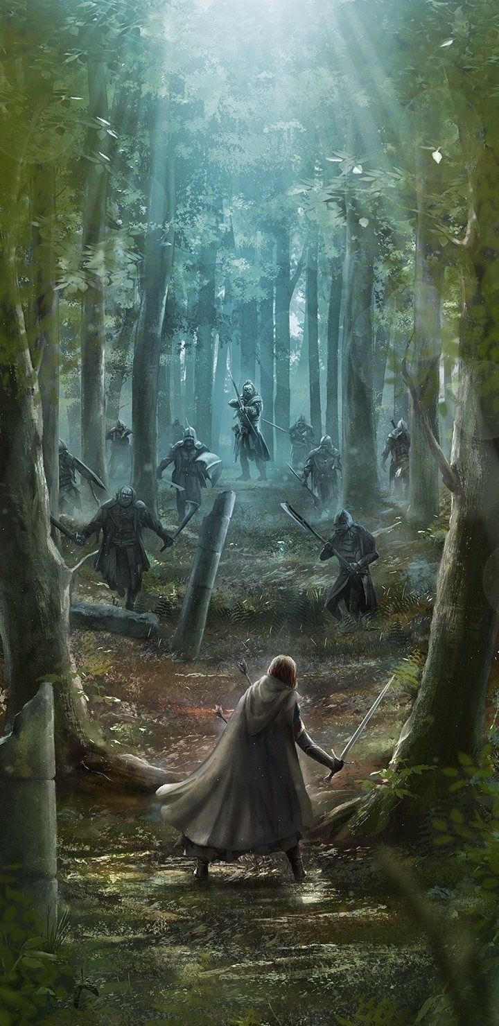 Boromir, Filme, Herr der Ringe, Bild, Hintergrund, 720x1480 HD Handy