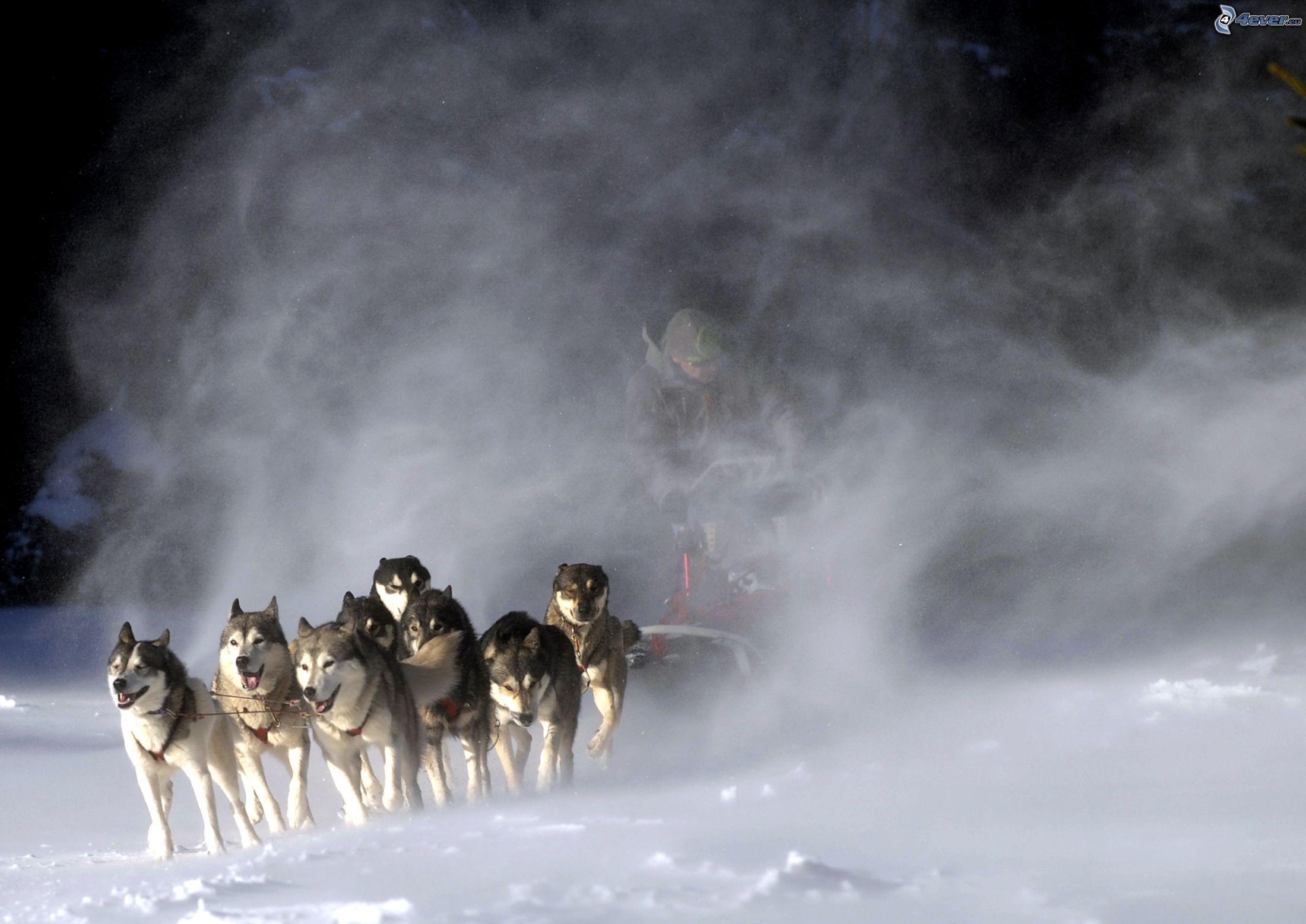 Rodeln, Winter, Freizeit, Sport, Abenteuer, 2200x1560 HD Desktop